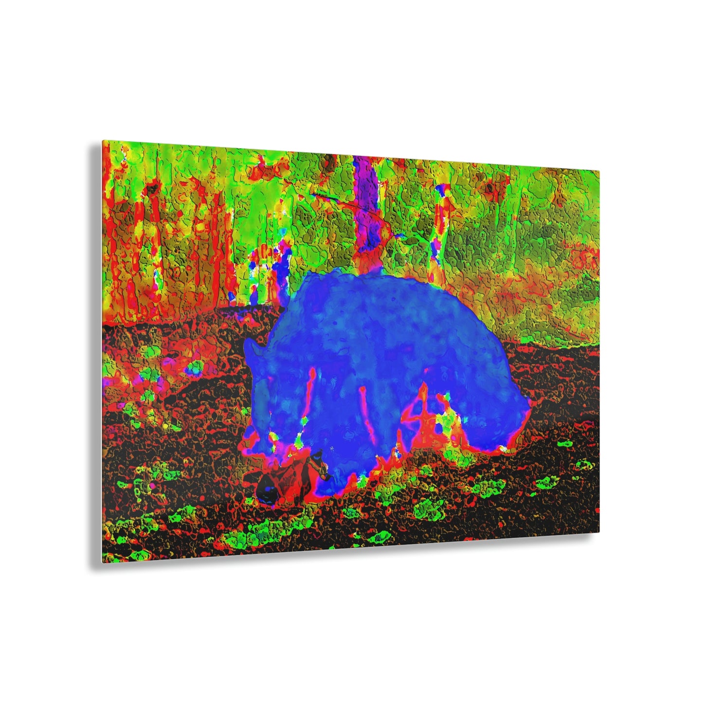 Acrylic Prints ... RCY: "Rhett Creek Yogi ... '500 Lbs Of Autumn Season Hunger' ..."  ... September 2022 ... Central Idaho ... Original Works ...