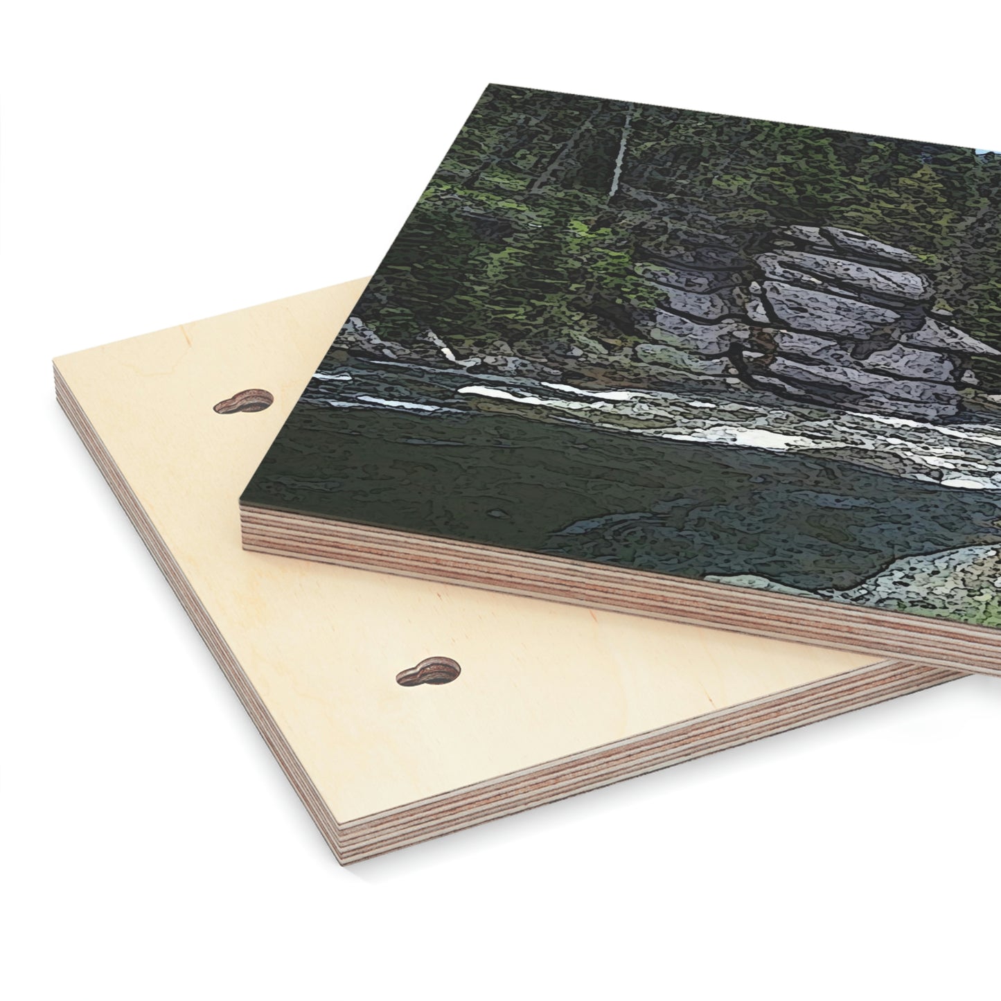 Wood Canvas ... "I Am Innocent" ... Tricky-Dick Immortalized ... Nixon Rock: Along The River ... Central Idaho, Summer 2020 ... Original Works ...