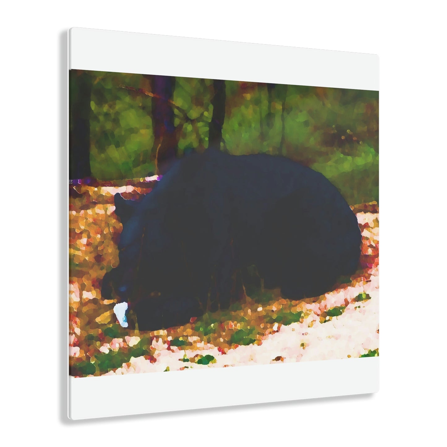 Acrylic Prints ... RCY: "Rhett Creek Yogi ... '500 Lbs Of Autumn Season Hunger' ..."  ... September 2022 ... Central Idaho ... Original Works ...