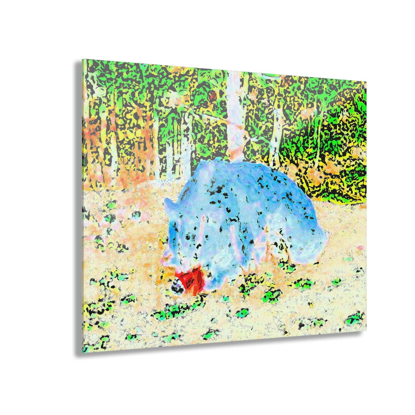 Acrylic Prints (French Cleat Hanging) ... RCY: "Rhett Creek Yogi ... '500 Lbs Of Autumn Season Hunger' ..."  ... September 2022 ... Central Idaho ... Original Works ...