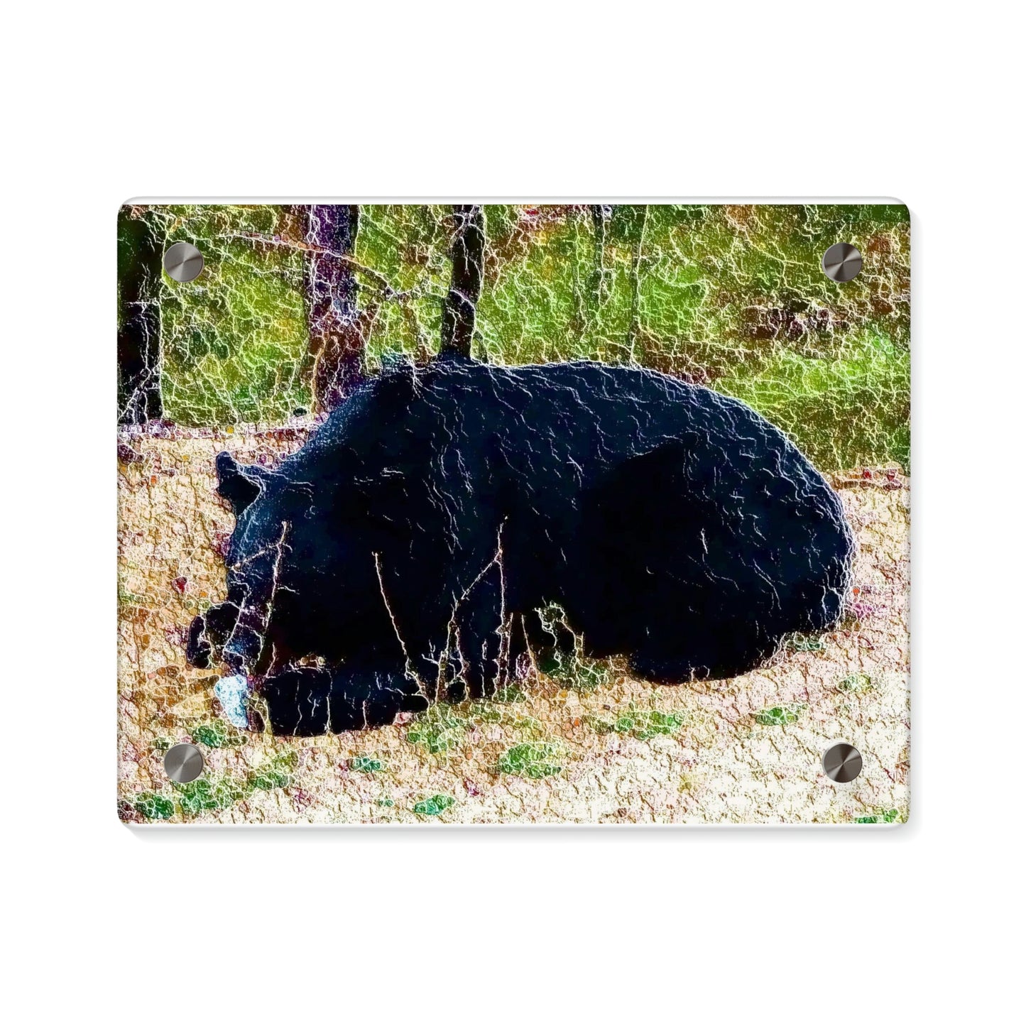 Acrylic Wall Art Panels ... RCY: "Rhett Creek Yogi ... '500 Lbs Of Autumn Season Hunger' ..."  ... September 2022 ... Central Idaho ... Original Works ...