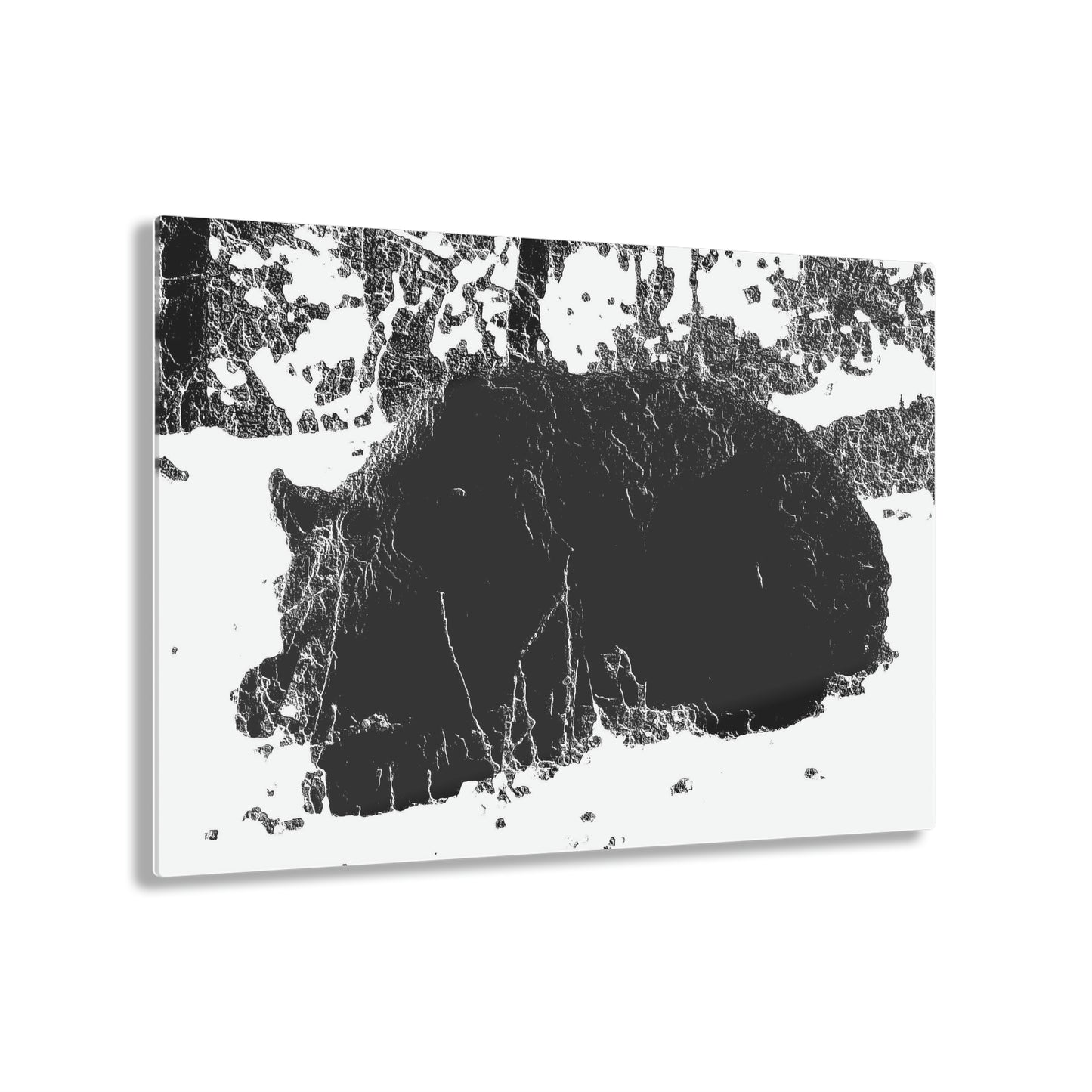 Acrylic Prints ... RCY: "Rhett Creek Yogi ... '500 Lbs Of Autumn Season Hunger' ..."  ... September 2022 ... Central Idaho ... Original Works ...