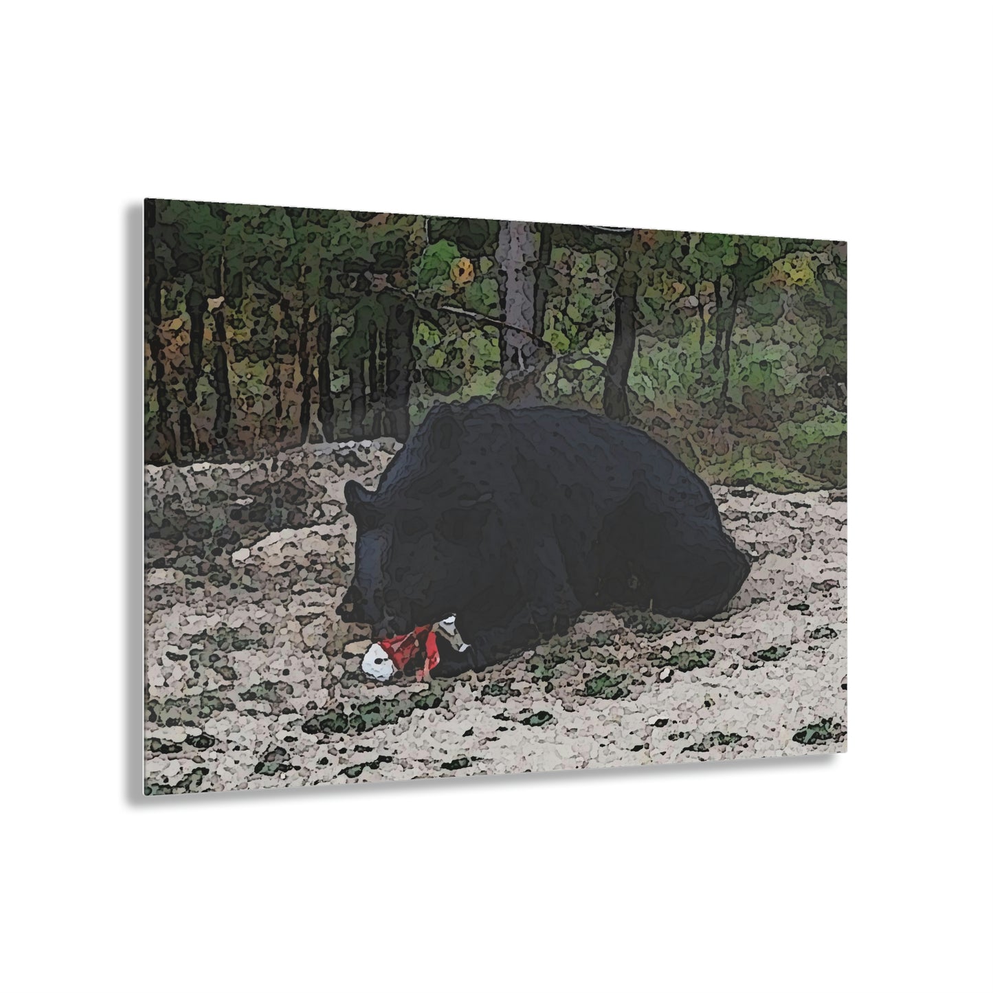 Acrylic Prints ... RCY: "Rhett Creek Yogi ... '500 Lbs Of Autumn Season Hunger' ..."  ... September 2022 ... Central Idaho ... Original Works ...