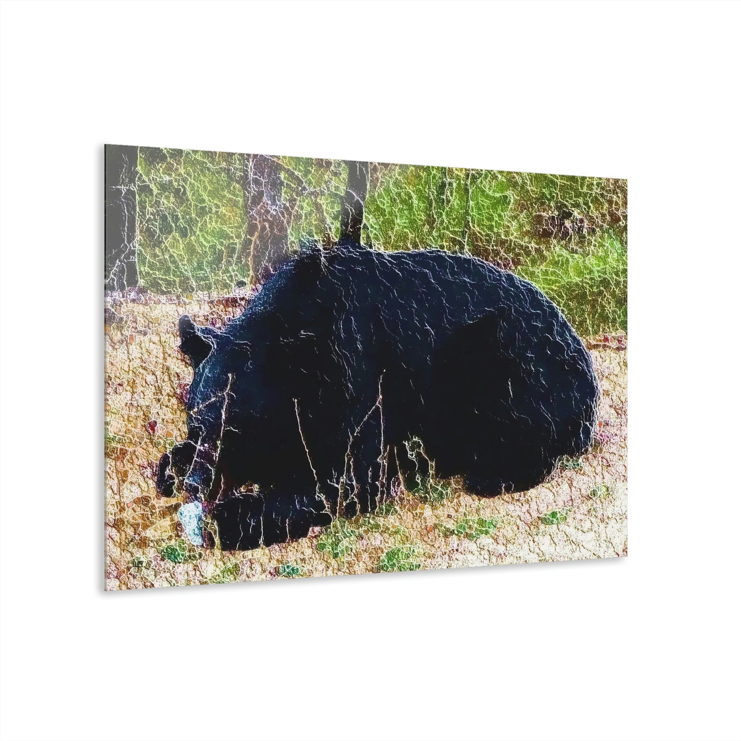 Acrylic Prints (French Cleat Hanging) ... RCY: "Rhett Creek Yogi ... '500 Lbs Of Autumn Season Hunger' ..."  ... September 2022 ... Central Idaho ... Original Works ...