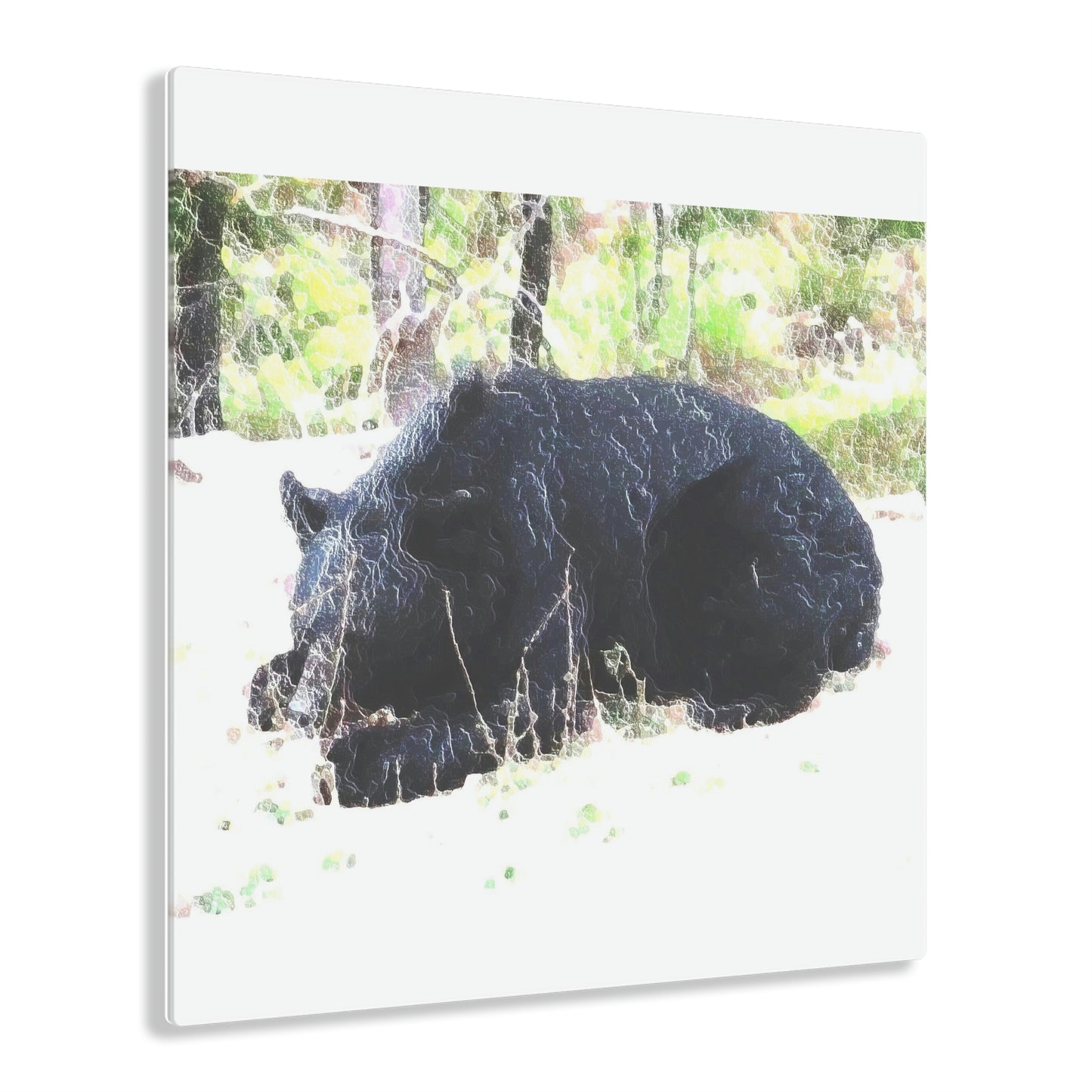 Acrylic Prints ... RCY: "Rhett Creek Yogi ... '500 Lbs Of Autumn Season Hunger' ..."  ... September 2022 ... Central Idaho ... Original Works ...