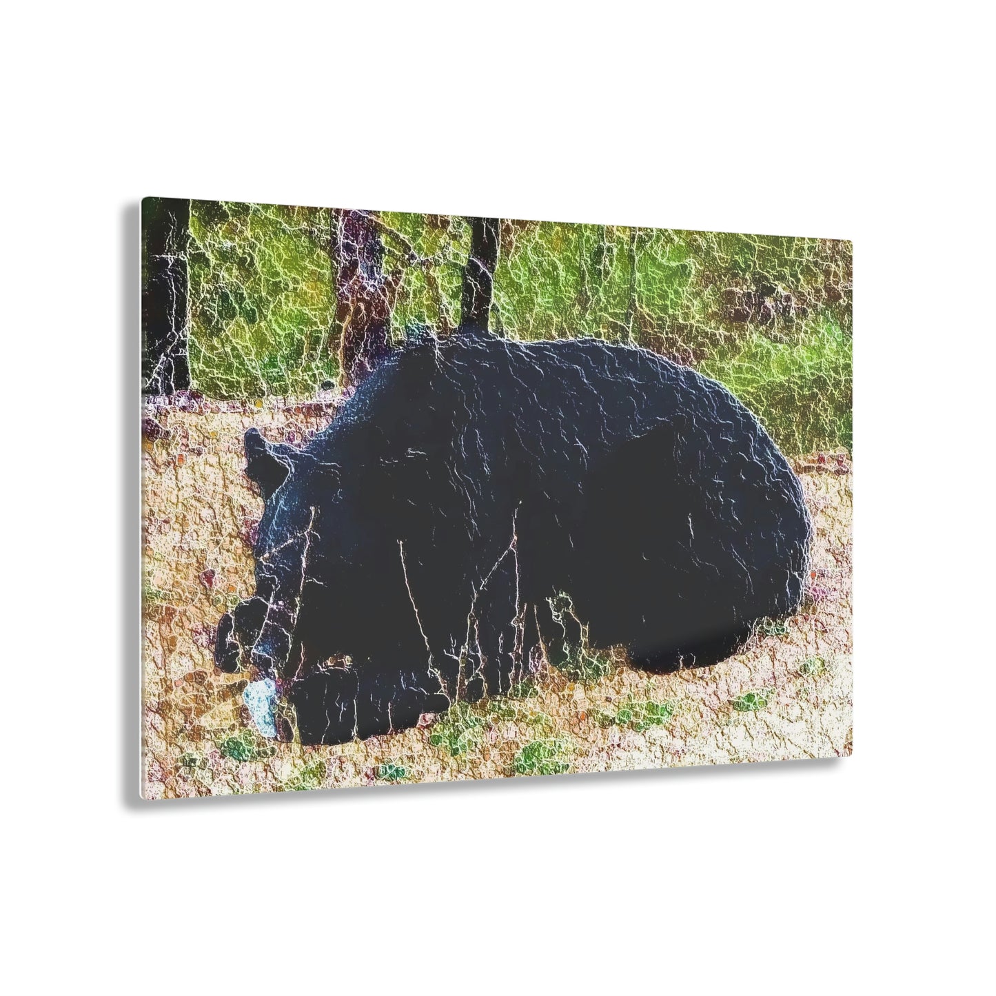 Acrylic Prints ... RCY: "Rhett Creek Yogi ... '500 Lbs Of Autumn Season Hunger' ..."  ... September 2022 ... Central Idaho ... Original Works ...
