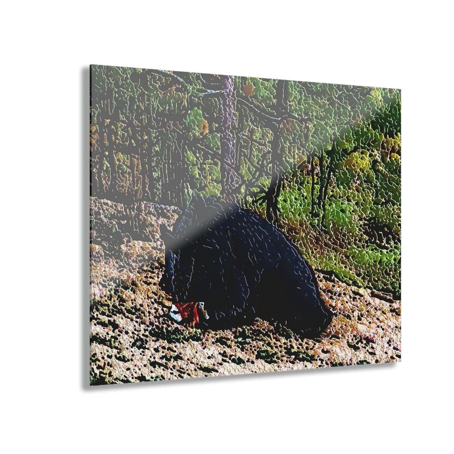 Acrylic Prints (French Cleat Hanging) ... RCY: "Rhett Creek Yogi ... '500 Lbs Of Autumn Season Hunger' ..."  ... September 2022 ... Central Idaho ... Original Works ...