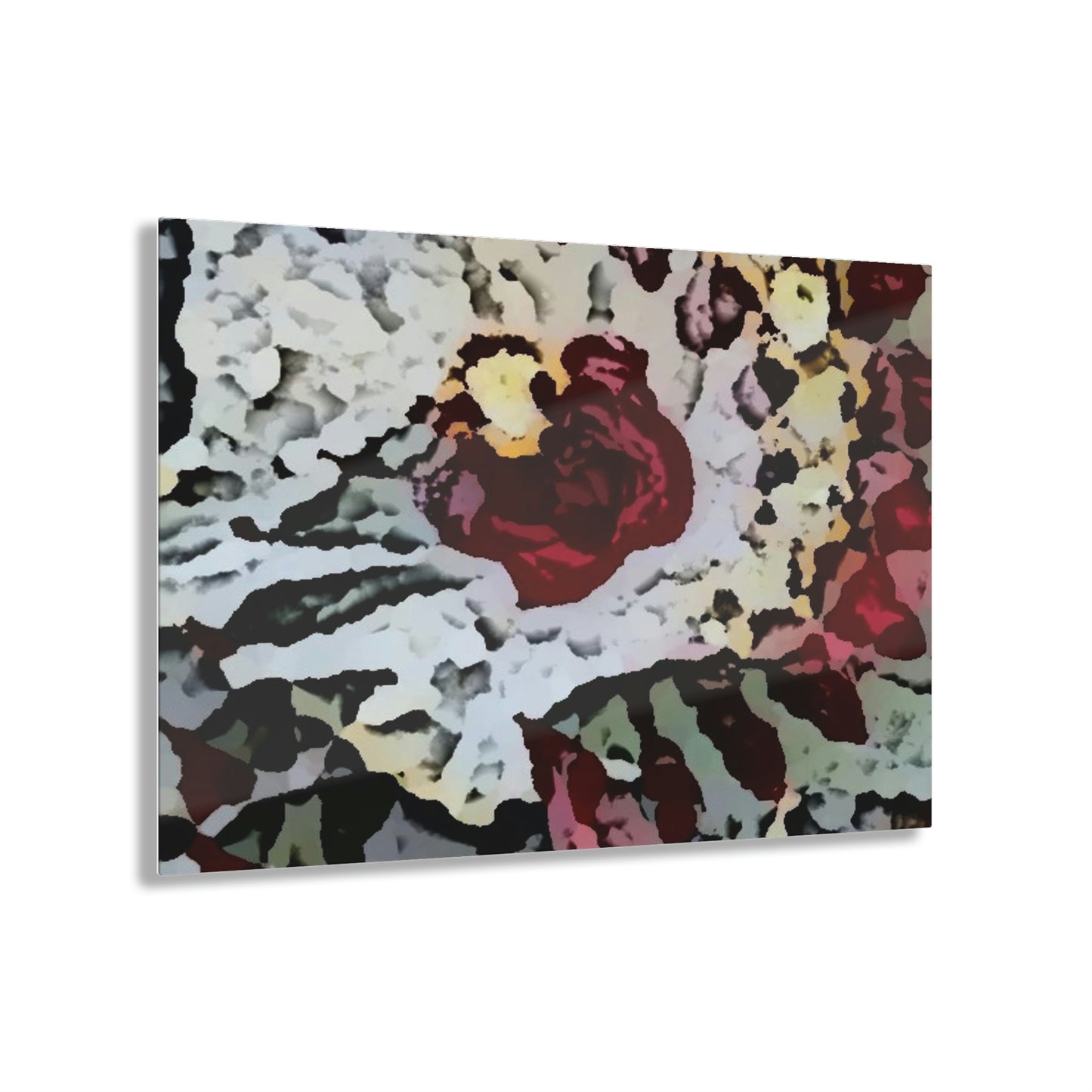 Acrylic Prints ... "A Friendly Flower" ... Pointsettia 'Pointing' ... Original Works ... (Supplied Photograph) ...