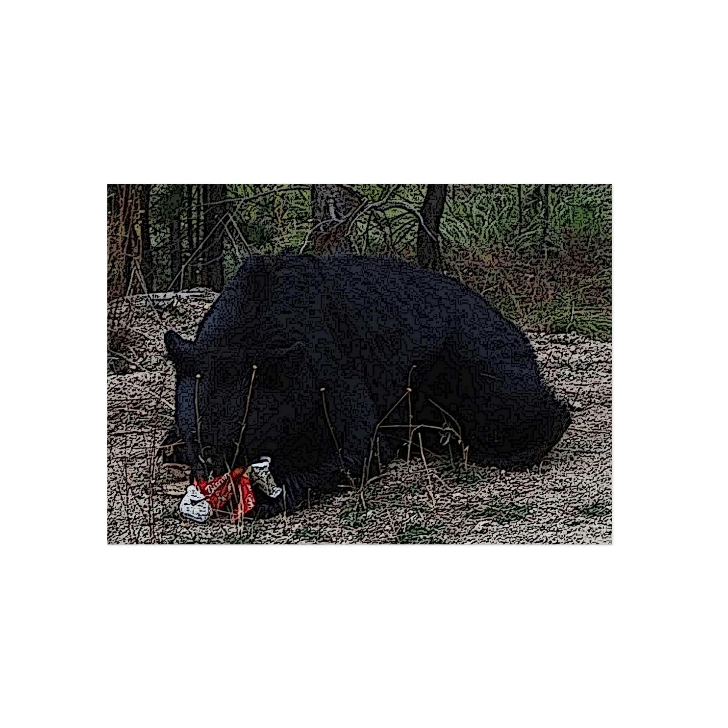 Aluminum Composite Panels ... A Local 'Yogi_3' ... RCY: "Rhett Creek Yogi: 500#'s Of Hungry Black Bear" ... 28-29Sep23 ... Original Works ... Client Project-Folio ...