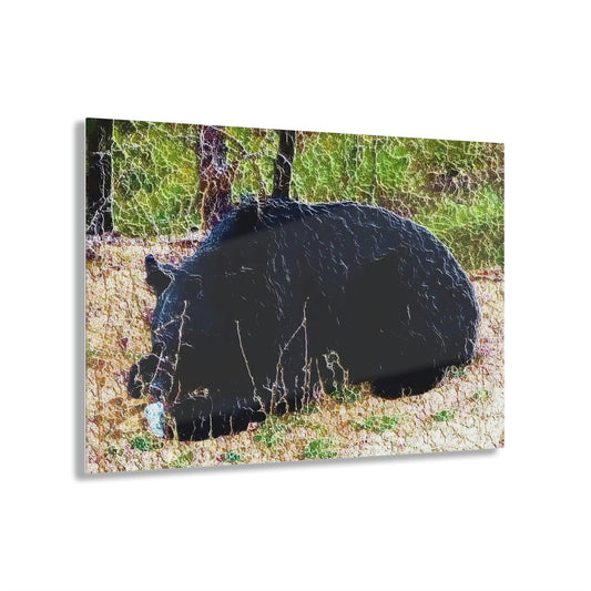 Acrylic Prints ... RCY: "Rhett Creek Yogi ... '500 Lbs Of Autumn Season Hunger' ..."  ... September 2022 ... Central Idaho ... Original Works ...
