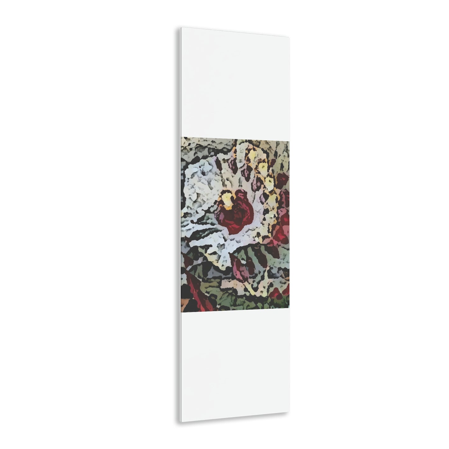 Acrylic Prints ... "A Friendly Flower" ... Pointsettia 'Pointing' ... Original Works ... (Supplied Photograph) ...