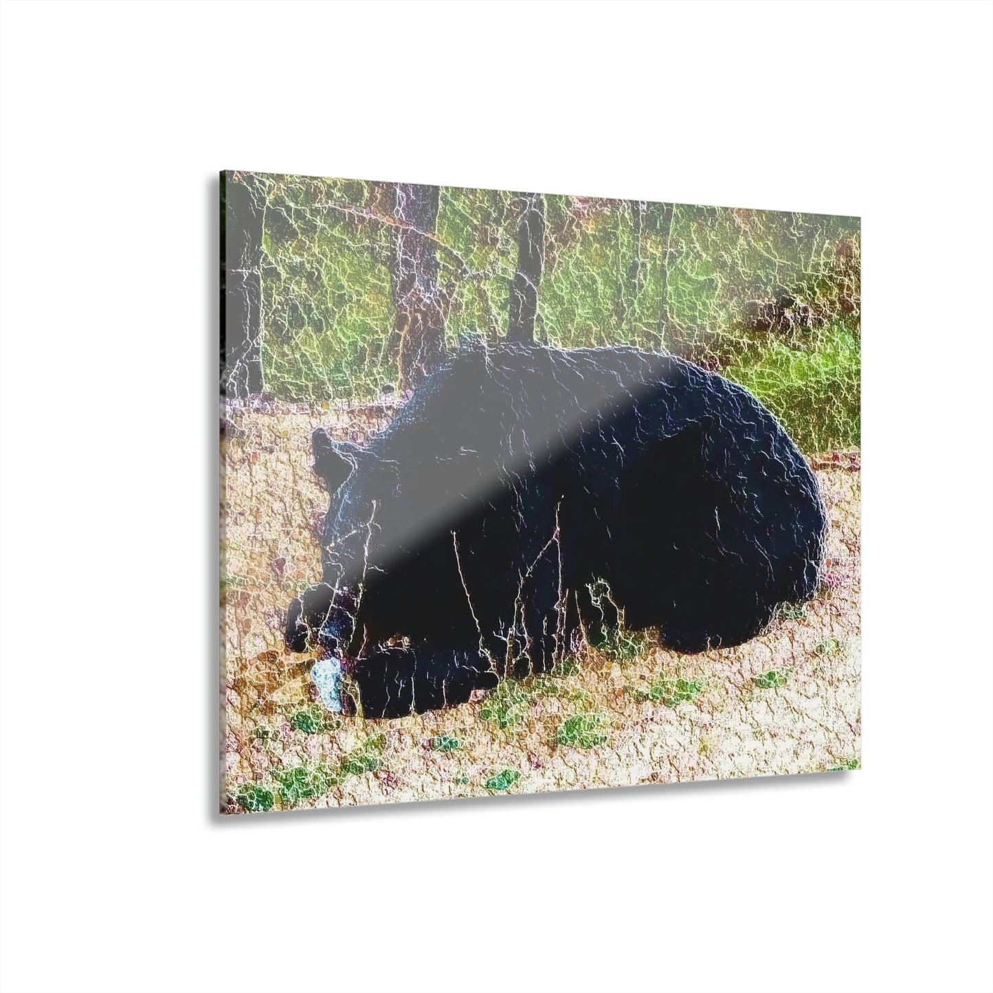 Acrylic Prints (French Cleat Hanging) ... RCY: "Rhett Creek Yogi ... '500 Lbs Of Autumn Season Hunger' ..."  ... September 2022 ... Central Idaho ... Original Works ...