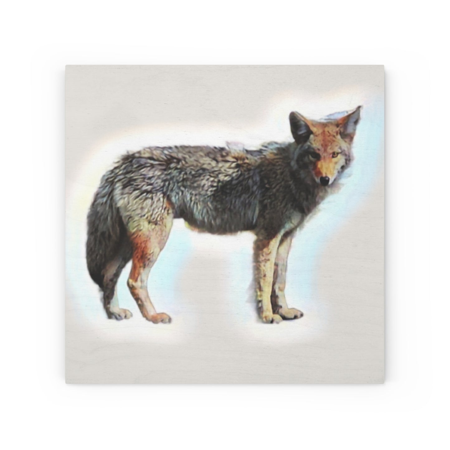 Wood Canvas ... Coyote ... "Yosemite Valley: Circa May23 ... KPH Base Photo" ... Original Works ...