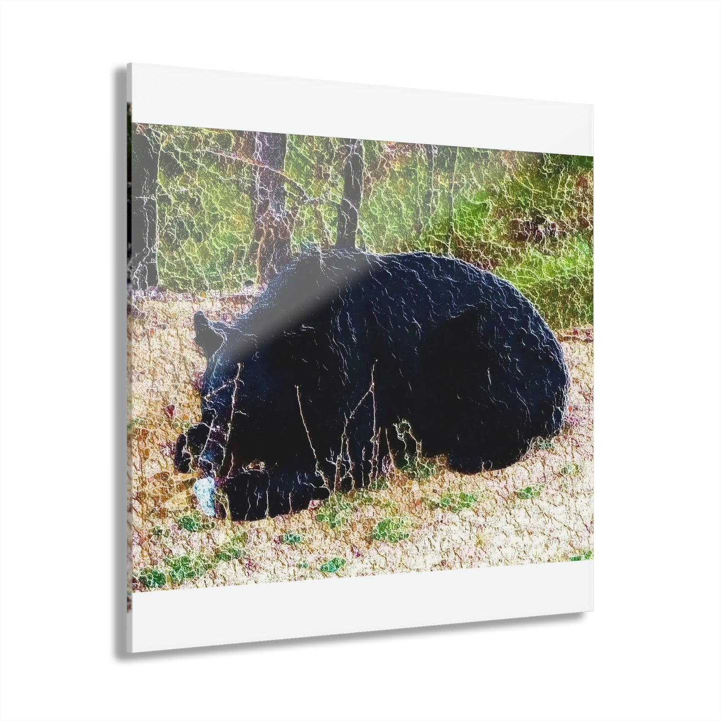 Acrylic Prints (French Cleat Hanging) ... RCY: "Rhett Creek Yogi ... '500 Lbs Of Autumn Season Hunger' ..."  ... September 2022 ... Central Idaho ... Original Works ...
