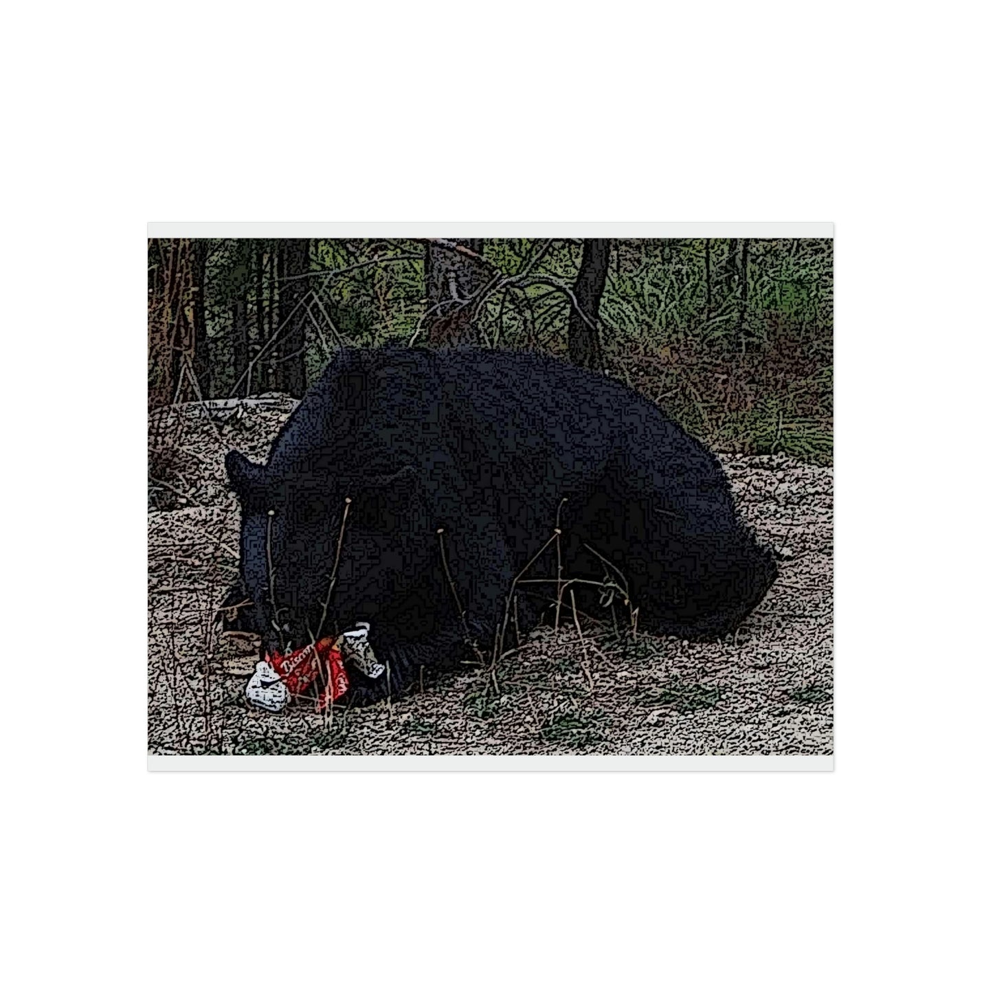 Aluminum Composite Panels ... A Local 'Yogi_3' ... RCY: "Rhett Creek Yogi: 500#'s Of Hungry Black Bear" ... 28-29Sep23 ... Original Works ... Client Project-Folio ...