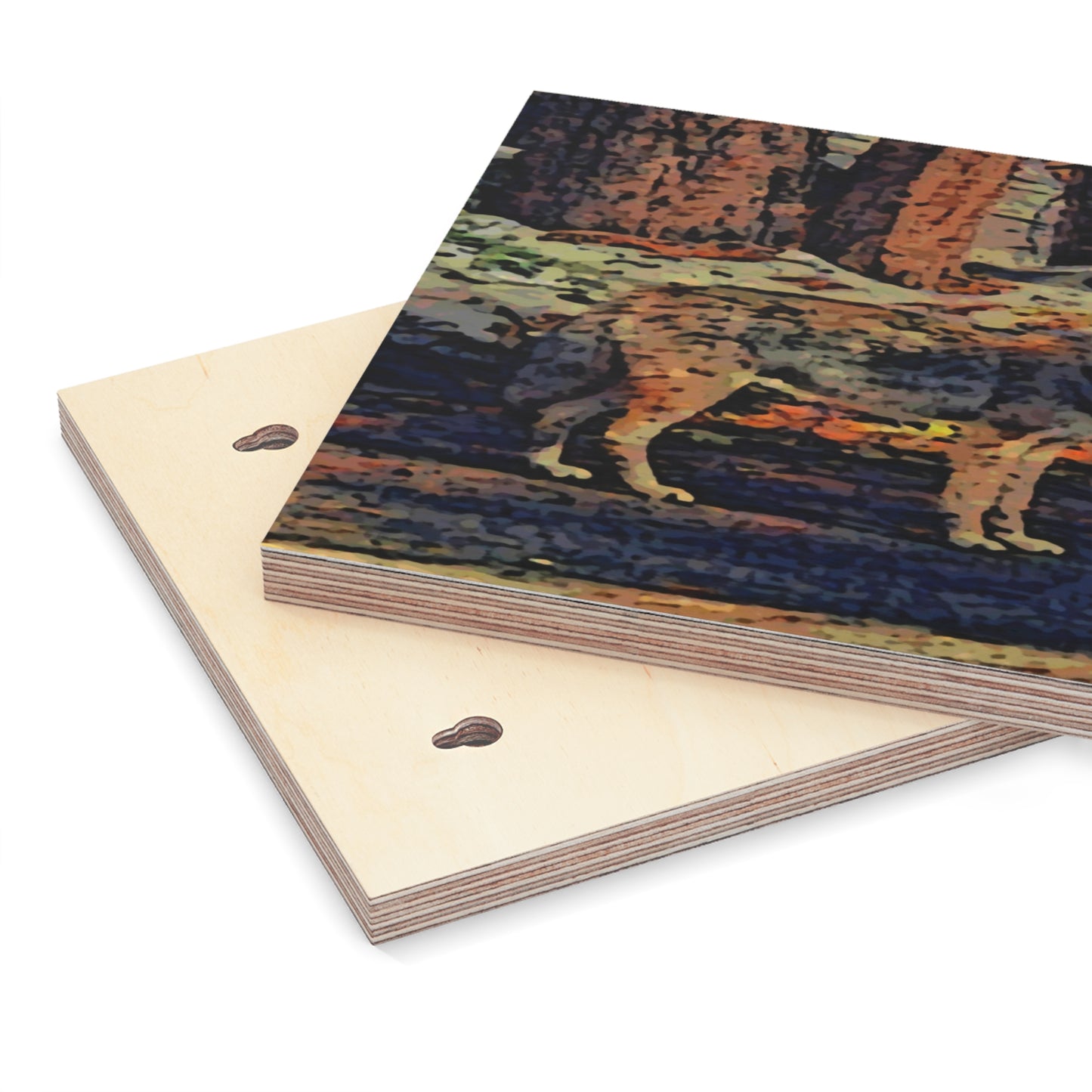 Wood Canvas ... Coyote ... "Yosemite Valley: Circa May23 ... KPH Base Photo" ... Original Works ...