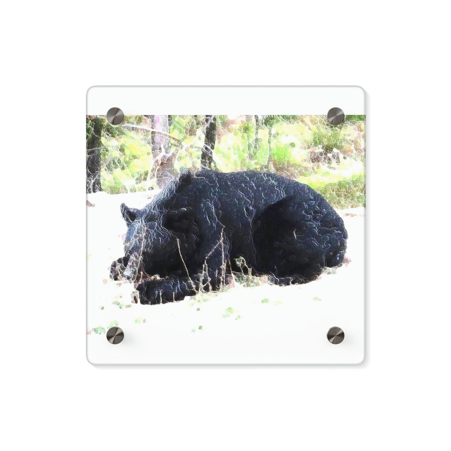 Acrylic Wall Art Panels ... RCY: "Rhett Creek Yogi ... '500 Lbs Of Autumn Season Hunger' ..."  ... September 2022 ... Central Idaho ... Original Works ...