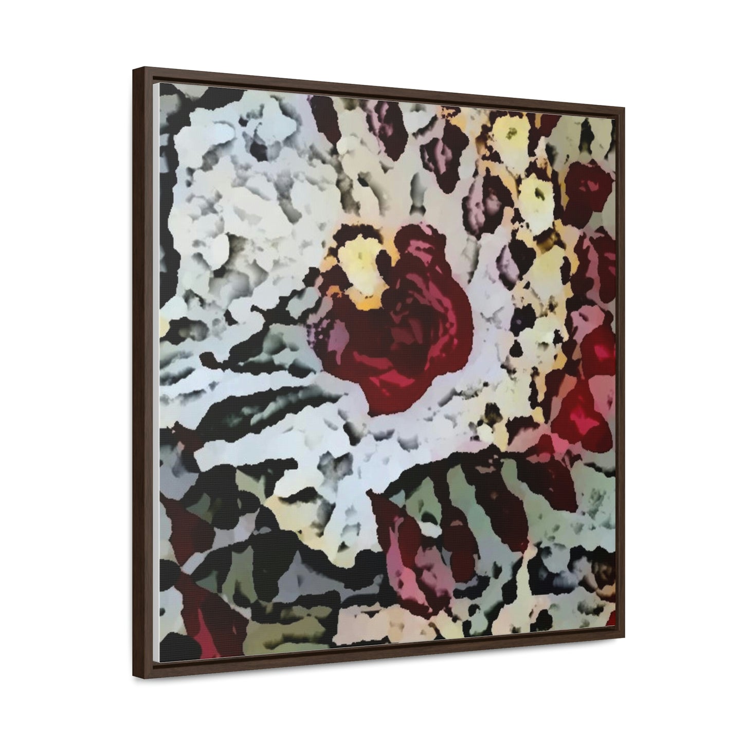 Gallery Canvas Wraps, Square Frame ... "A Friendly Flower" ... Pointsettia 'Pointing' ... Original Works ... (Supplied Photograph) ...
