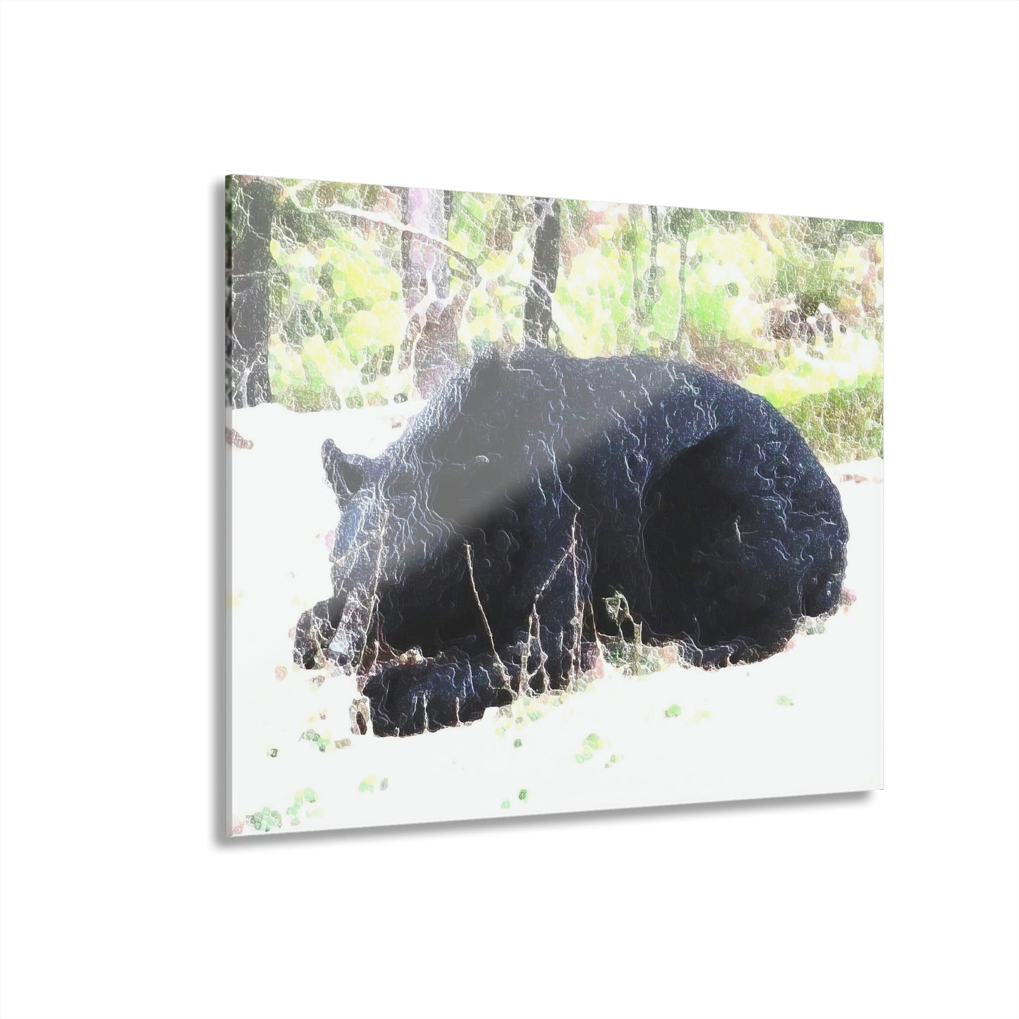 Acrylic Prints (French Cleat Hanging) ... RCY: "Rhett Creek Yogi ... '500 Lbs Of Autumn Season Hunger' ..."  ... September 2022 ... Central Idaho ... Original Works ...