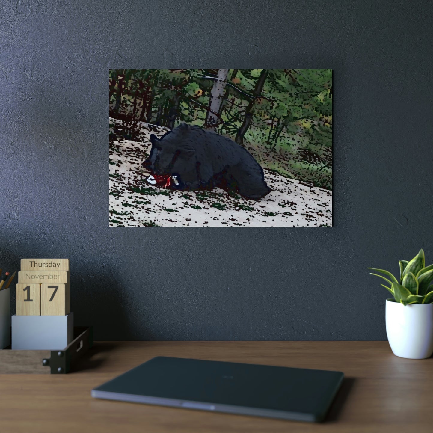 Aluminum Composite Panels ... A Local 'Yogi_4' ... RCY: "Rhett Creek Yogi: 500#'s Of Hungry Black Bear" ... 28-29Sep23 ... Original Works ... Client Project-Folio ...