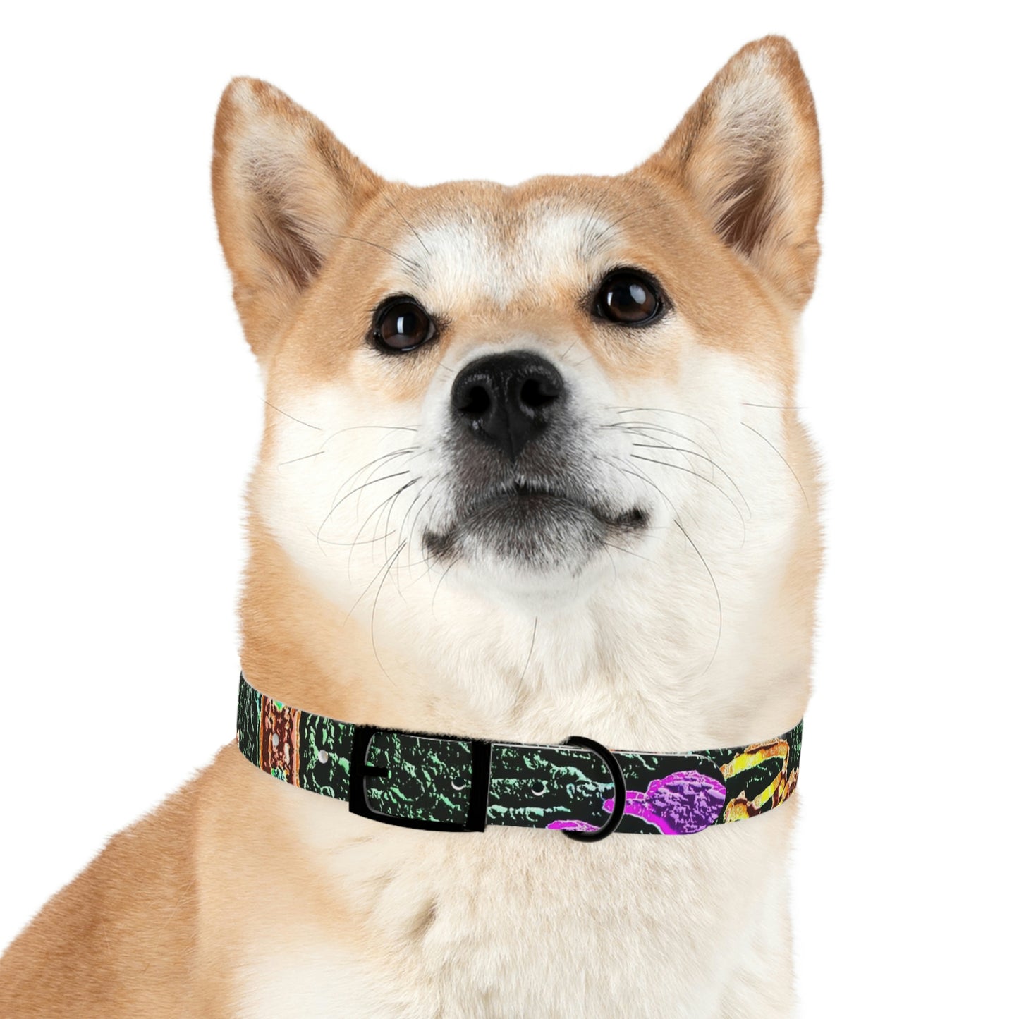 Dog Collar ... "La Grande Entree" At: 'The Pink Palace' ... The Royal Hawai'ian ... Honolulu, HI ... '27Oct2014' ... Original Works ...