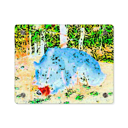 Acrylic Wall Art Panels ... RCY: "Rhett Creek Yogi ... '500 Lbs Of Autumn Season Hunger' ..."  ... September 2022 ... Central Idaho ... Original Works ...