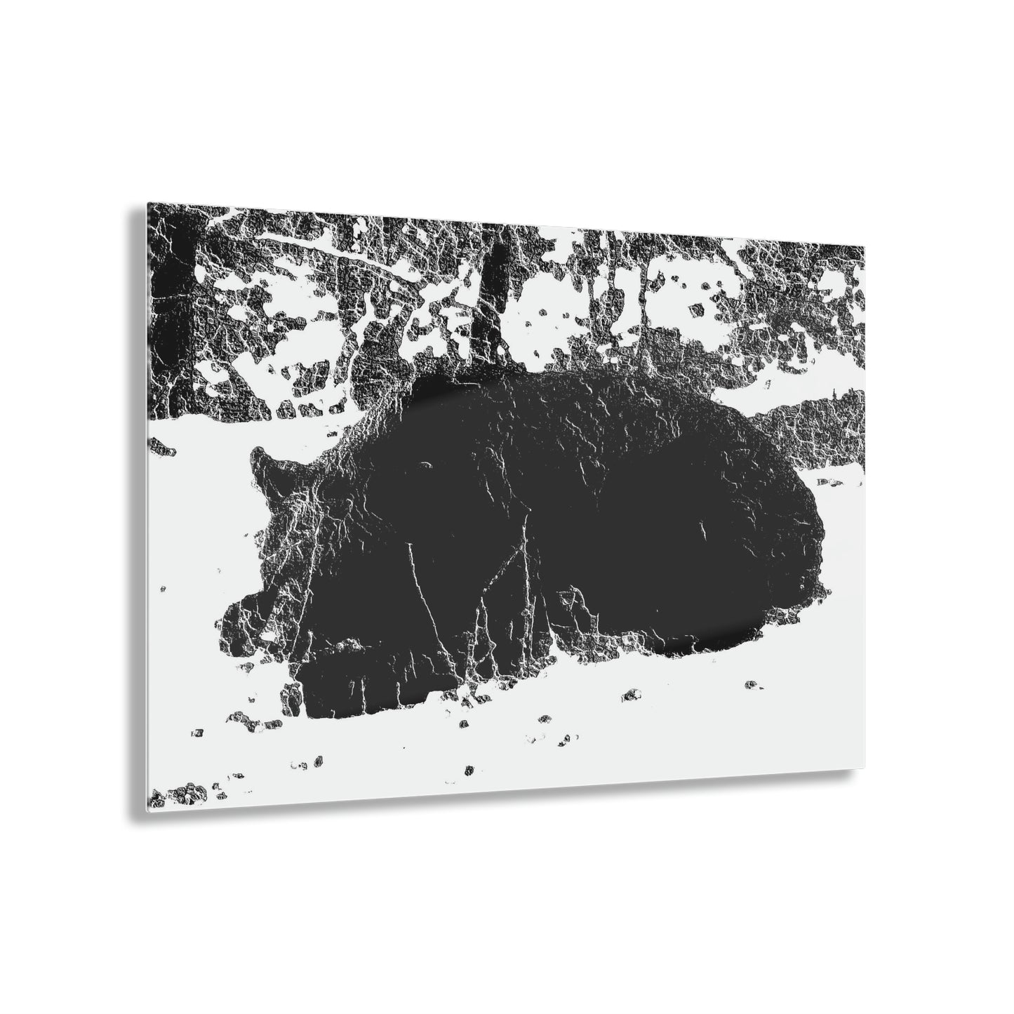 Acrylic Prints ... RCY: "Rhett Creek Yogi ... '500 Lbs Of Autumn Season Hunger' ..."  ... September 2022 ... Central Idaho ... Original Works ...