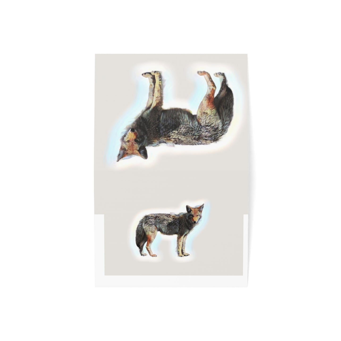 Greeting Cards (1, 10, 30, and 50pcs) ... Coyote ... "Yosemite Valley: Circa May23 ... KPH Base Photo" ... Original Works ...