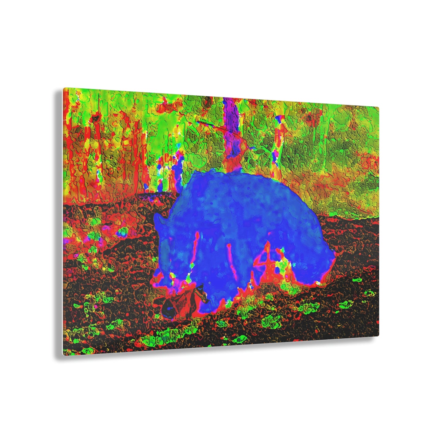 Acrylic Prints ... RCY: "Rhett Creek Yogi ... '500 Lbs Of Autumn Season Hunger' ..."  ... September 2022 ... Central Idaho ... Original Works ...