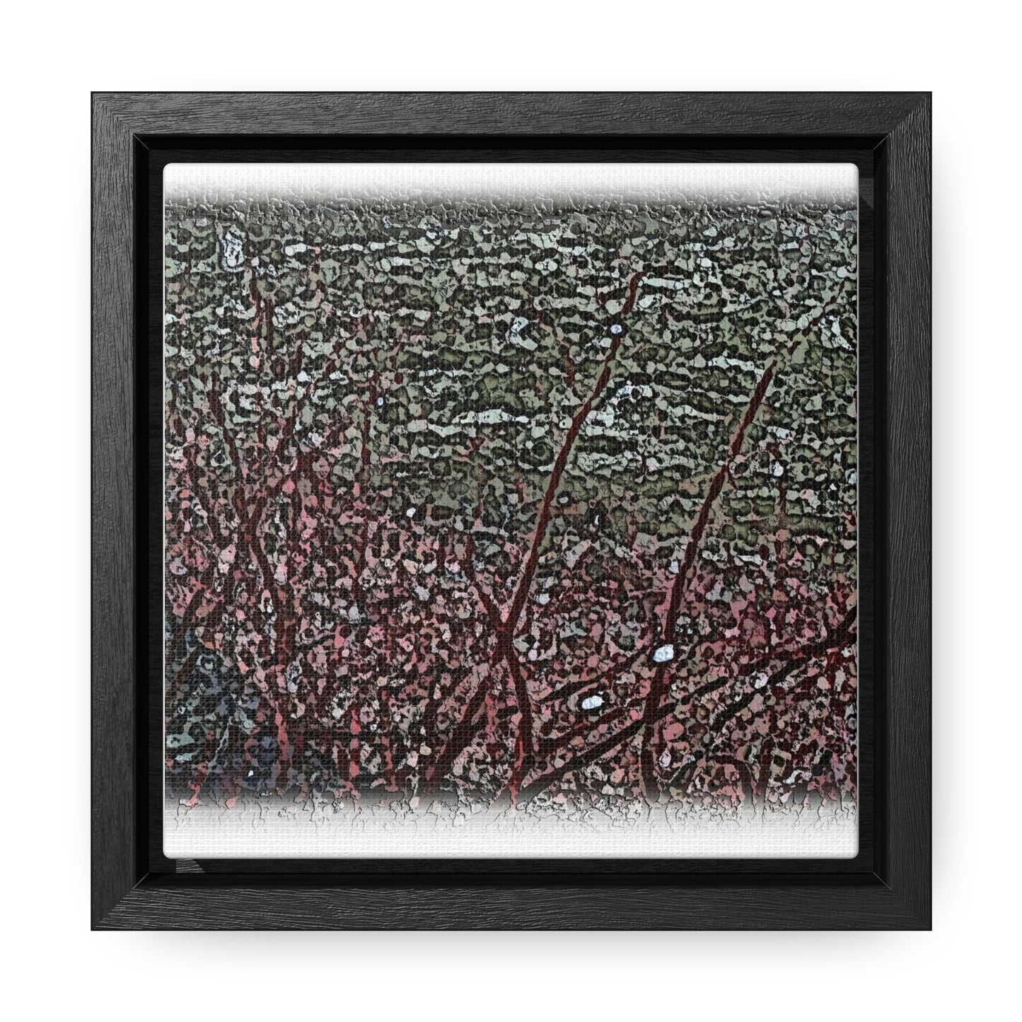 Gallery Canvas Wraps, Square Frame ... "A River Runs Through It" ... Red-Osier-Dogwood (Cornus Stonlifera 'Rubra') .. Original Works ... Central Idaho ...