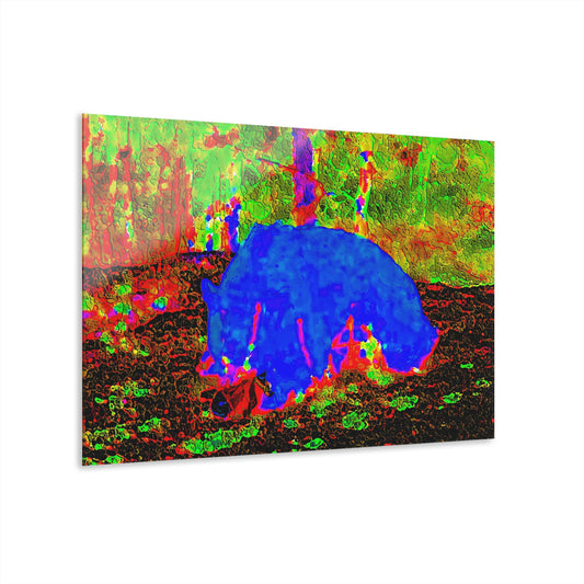 Acrylic Prints (French Cleat Hanging) ... RCY: "Rhett Creek Yogi ... '500 Lbs Of Autumn Season Hunger' ..."  ... September 2022 ... Central Idaho ... Original Works ...