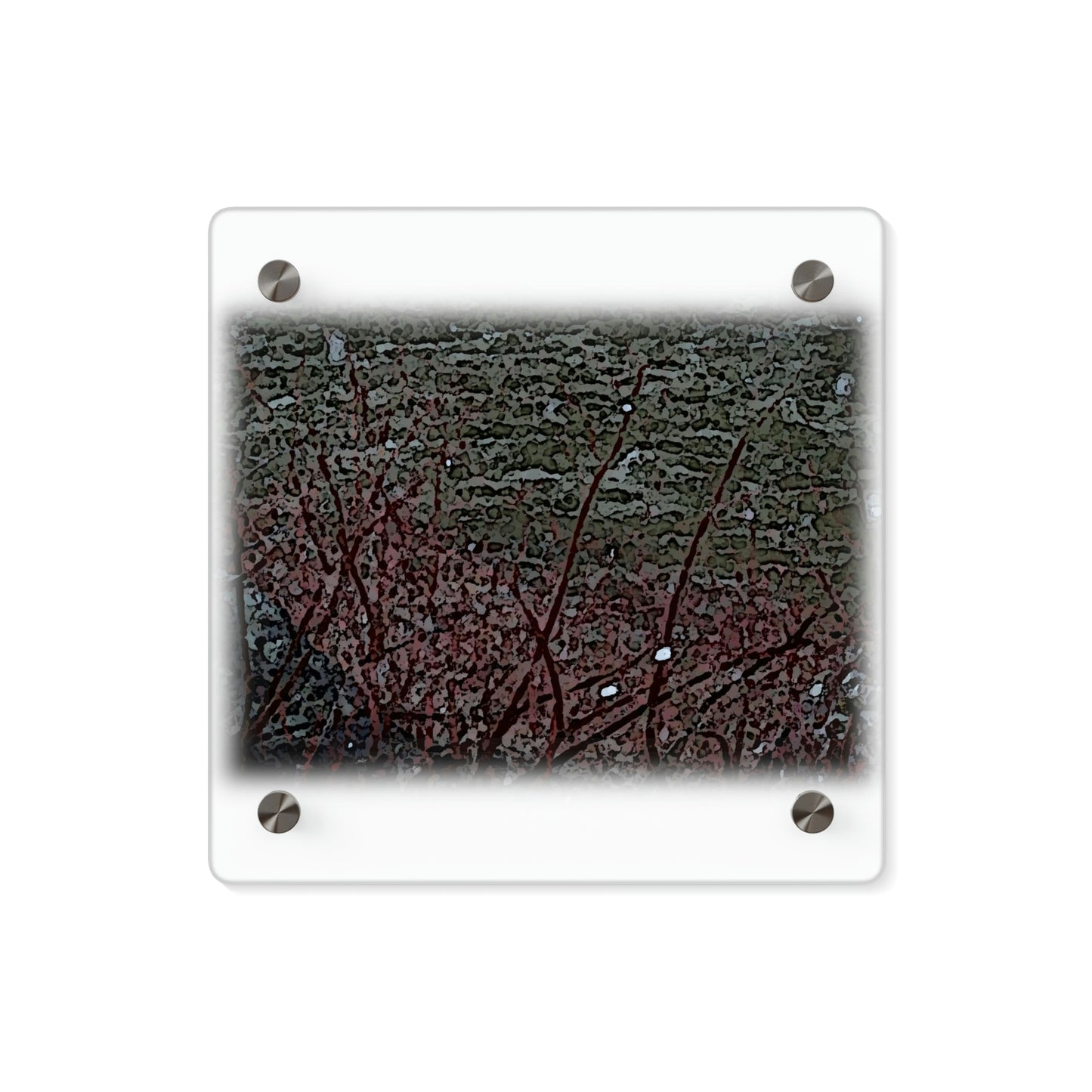 Acrylic Wall Art Panels ... "A River Runs Through It ... Red-Osier-Dogwood (Conus Stonlifera 'Rubra') .. Oringinal Works ... Central Idaho ...