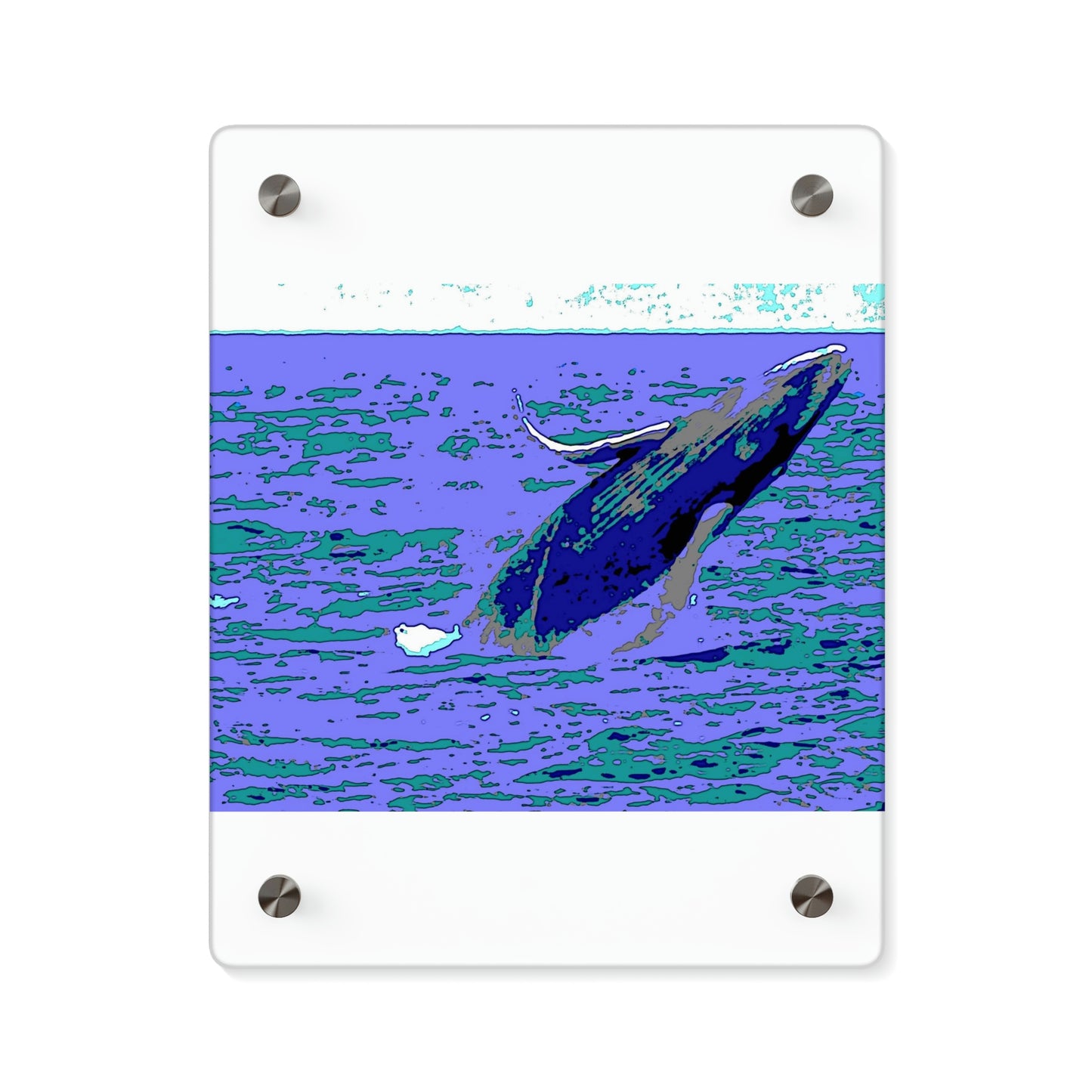 Acrylic Wall Art Panels ... Baby Humpback Breaching ... Maui, HI: April 2022 ... "Family Archives: KPH" ... Original Works ...