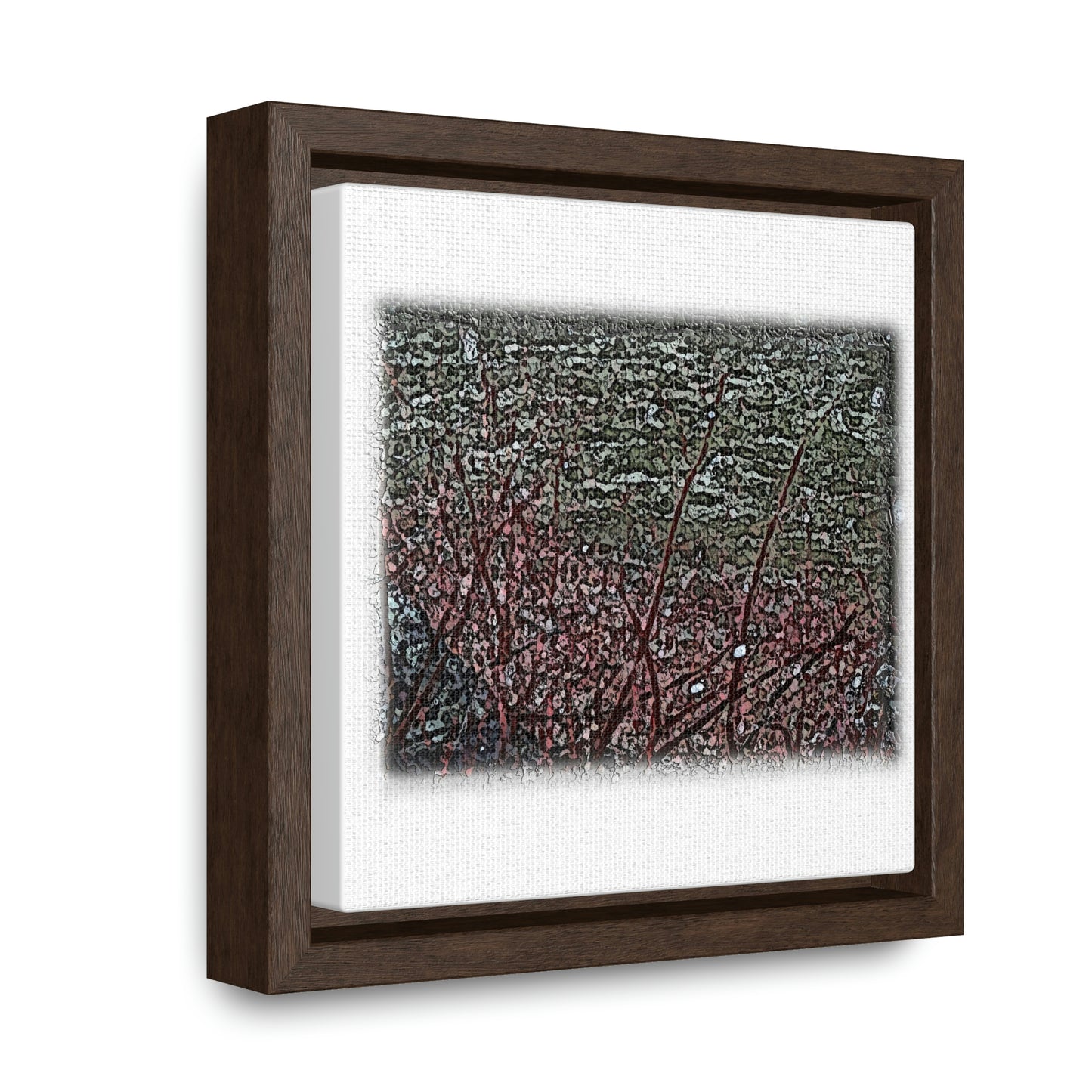 Gallery Canvas Wraps, Square Frame ... "A River Runs Through It" ... Red-Osier-Dogwood (Cornus Stonlifera 'Rubra') .. Original Works ... Central Idaho ...