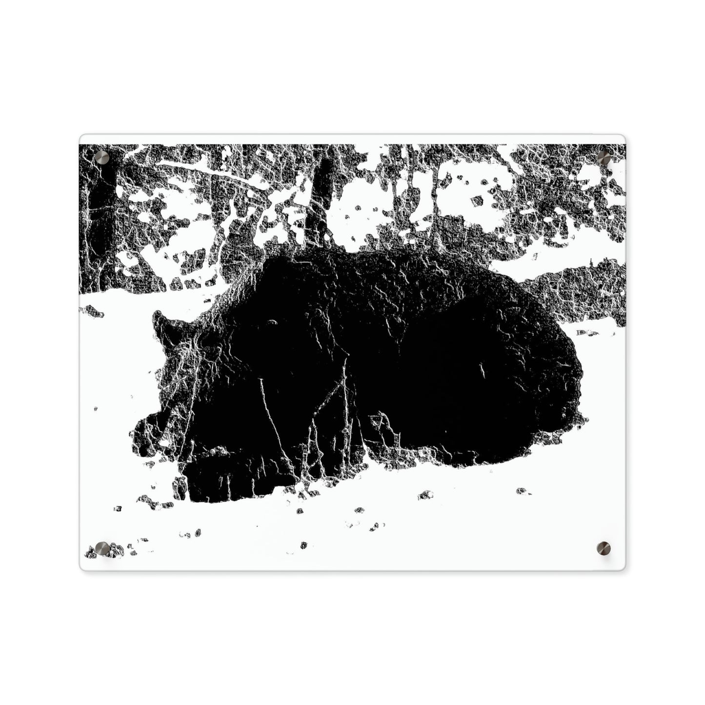 Acrylic Wall Art Panels ... RCY: "Rhett Creek Yogi ... '500 Lbs Of Autumn Season Hunger' ..."  ... September 2022 ... Central Idaho ... Original Works ...