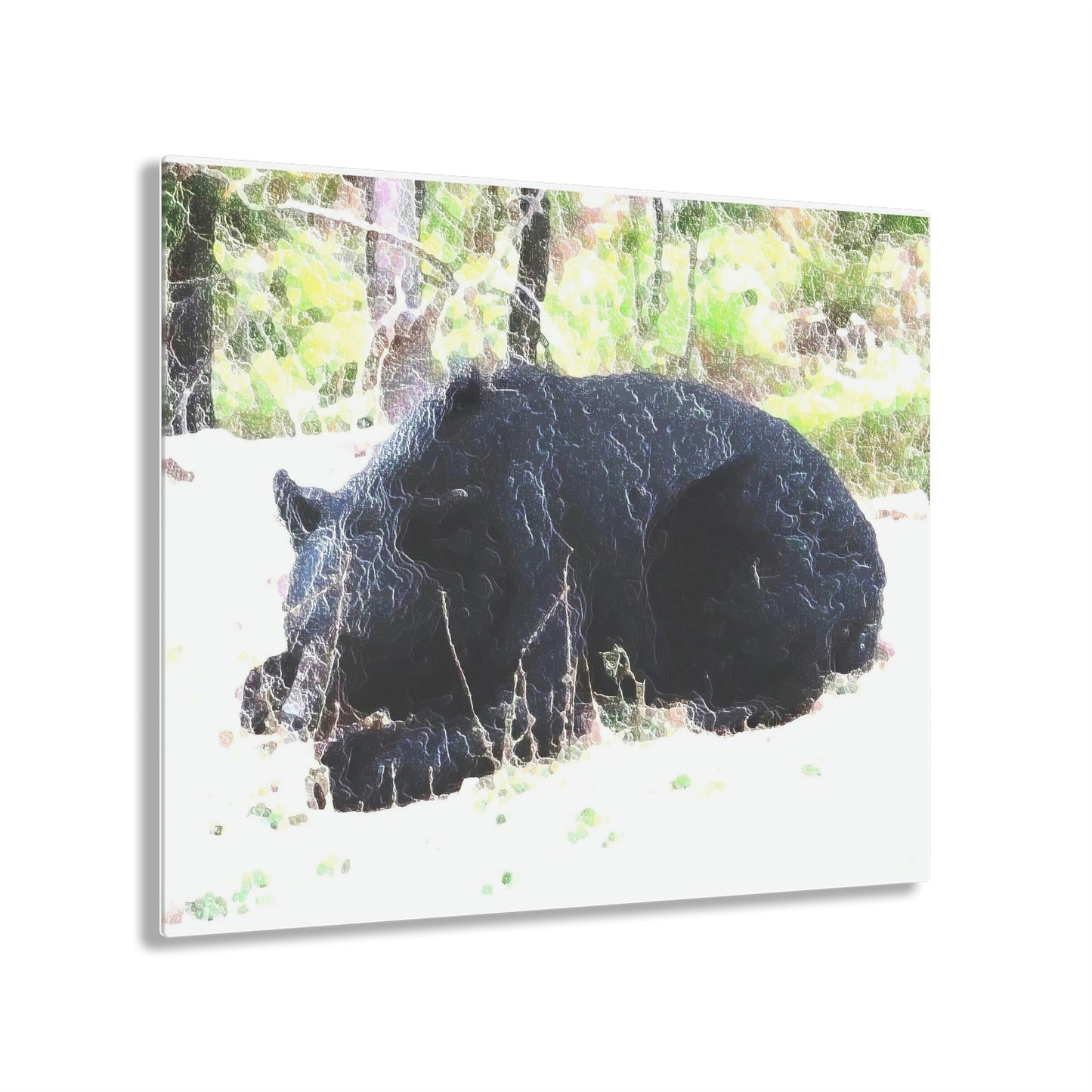 Acrylic Prints ... RCY: "Rhett Creek Yogi ... '500 Lbs Of Autumn Season Hunger' ..."  ... September 2022 ... Central Idaho ... Original Works ...