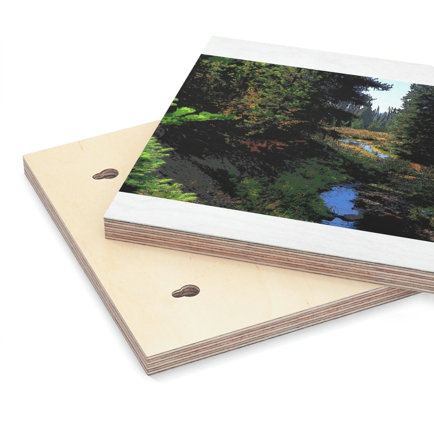 Wood Canvas ... Dixie Guard Station, Dixie, Idaho: Crooked Creek Running South ... September 2022