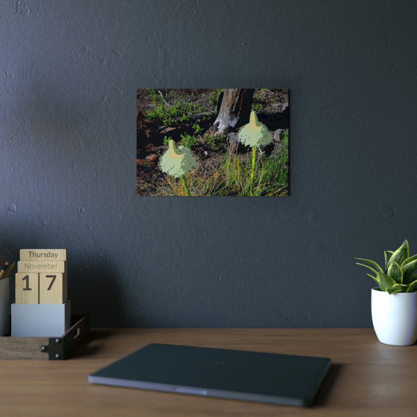 Aluminum Composite Panels ... Native Beargrass (Xerophyllum Spp.) June 2022: "Tells Us The Depth Of Next Winter's Snowpack By Its Spike's Heigth" ... Original Works ...