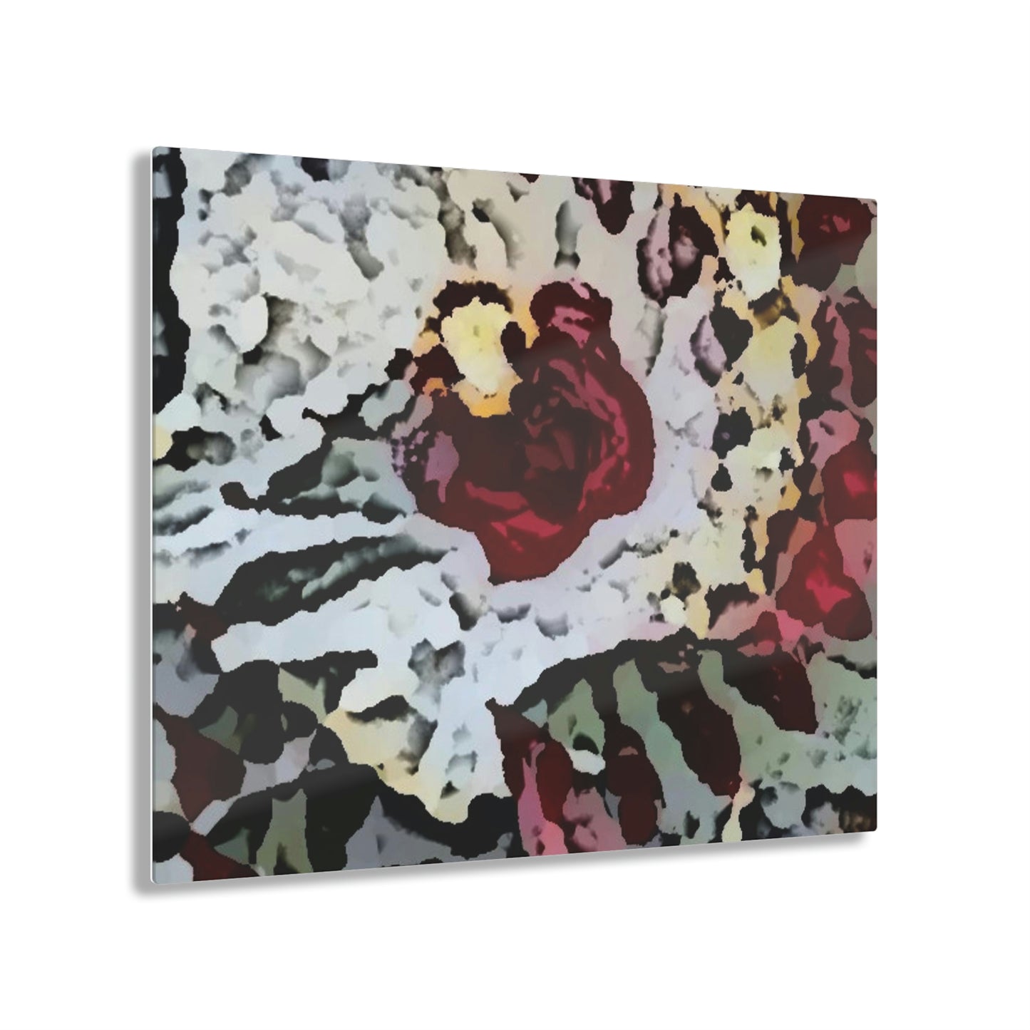 Acrylic Prints ... "A Friendly Flower" ... Pointsettia 'Pointing' ... Original Works ... (Supplied Photograph) ...