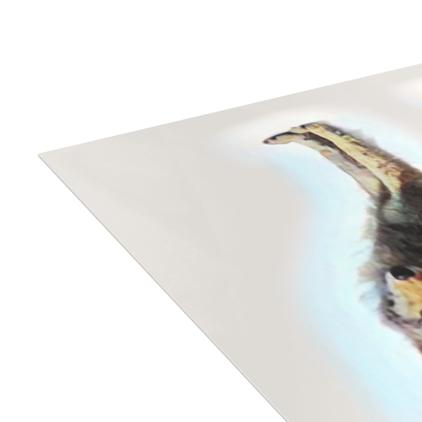 Greeting Cards (1, 10, 30, and 50pcs) ... Coyote ... "Yosemite Valley: Circa May23 ... KPH Base Photo" ... Original Works ...