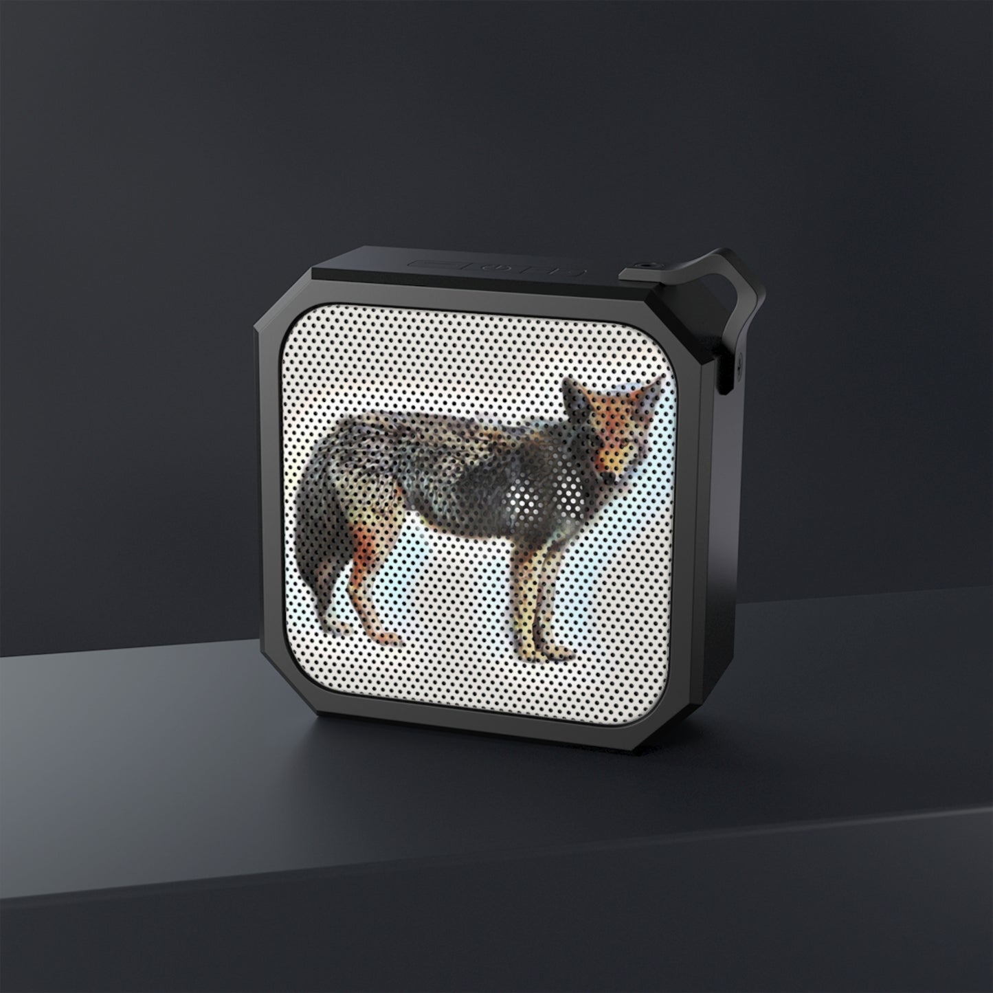 Blackwater Outdoor Bluetooth Speaker ... Coyote ... "Yosemite Valley: Circa May23 ... KPH Base Photo" ... Original Works ...