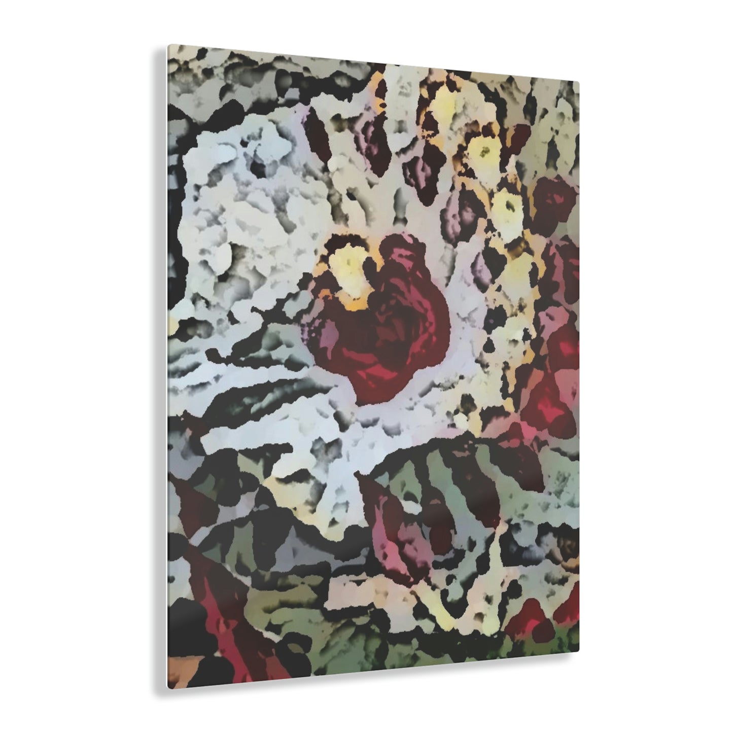 Acrylic Prints ... "A Friendly Flower" ... Pointsettia 'Pointing' ... Original Works ... (Supplied Photograph) ...