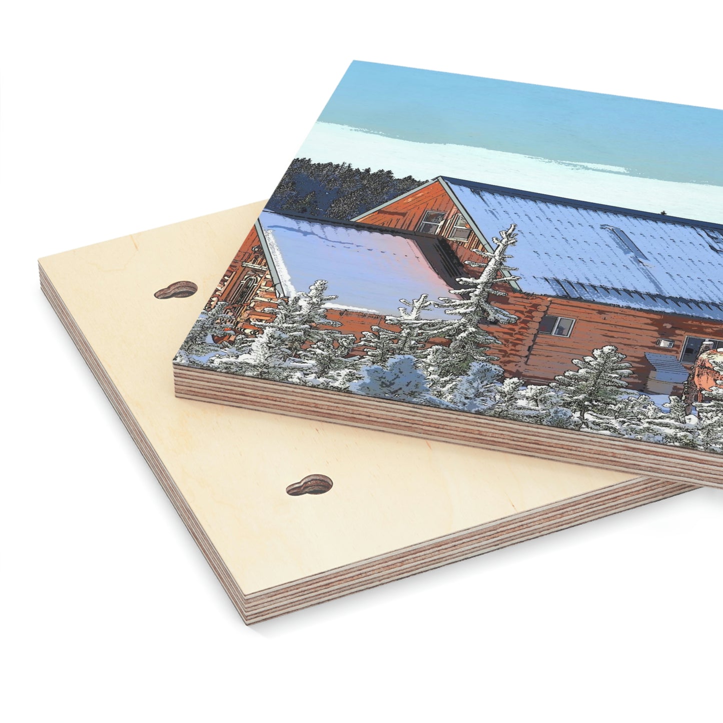 Wood Canvas ... A Cabin In The Mountains ... "A Very Snowy December 2022." Rhett Creek, Idaho.