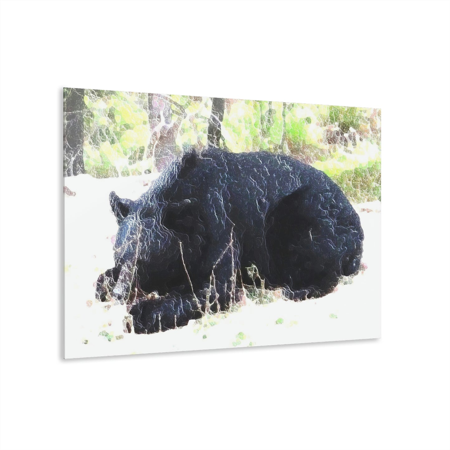 Acrylic Prints (French Cleat Hanging) ... RCY: "Rhett Creek Yogi ... '500 Lbs Of Autumn Season Hunger' ..."  ... September 2022 ... Central Idaho ... Original Works ...