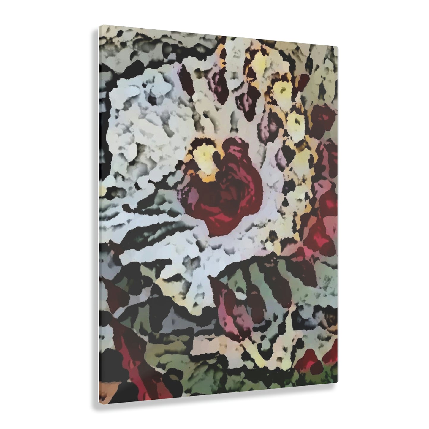 Acrylic Prints ... "A Friendly Flower" ... Pointsettia 'Pointing' ... Original Works ... (Supplied Photograph) ...