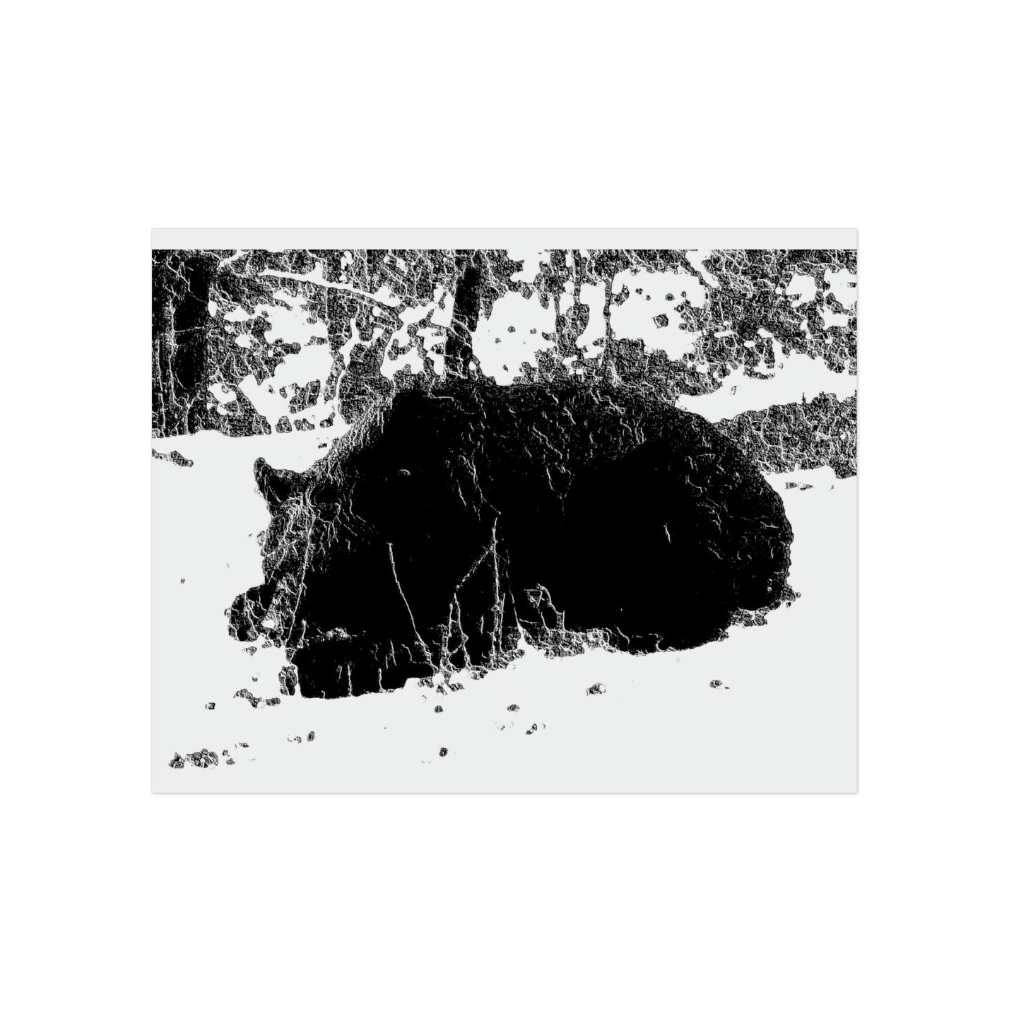Aluminum Composite Panels ... A Local 'Yogi' ... RCY: "Rhett Creek Yogi: 500#'s Of Hungry Black Bear" ... 28-29Sep23 ... Original Works ... Client Project-Folio ...