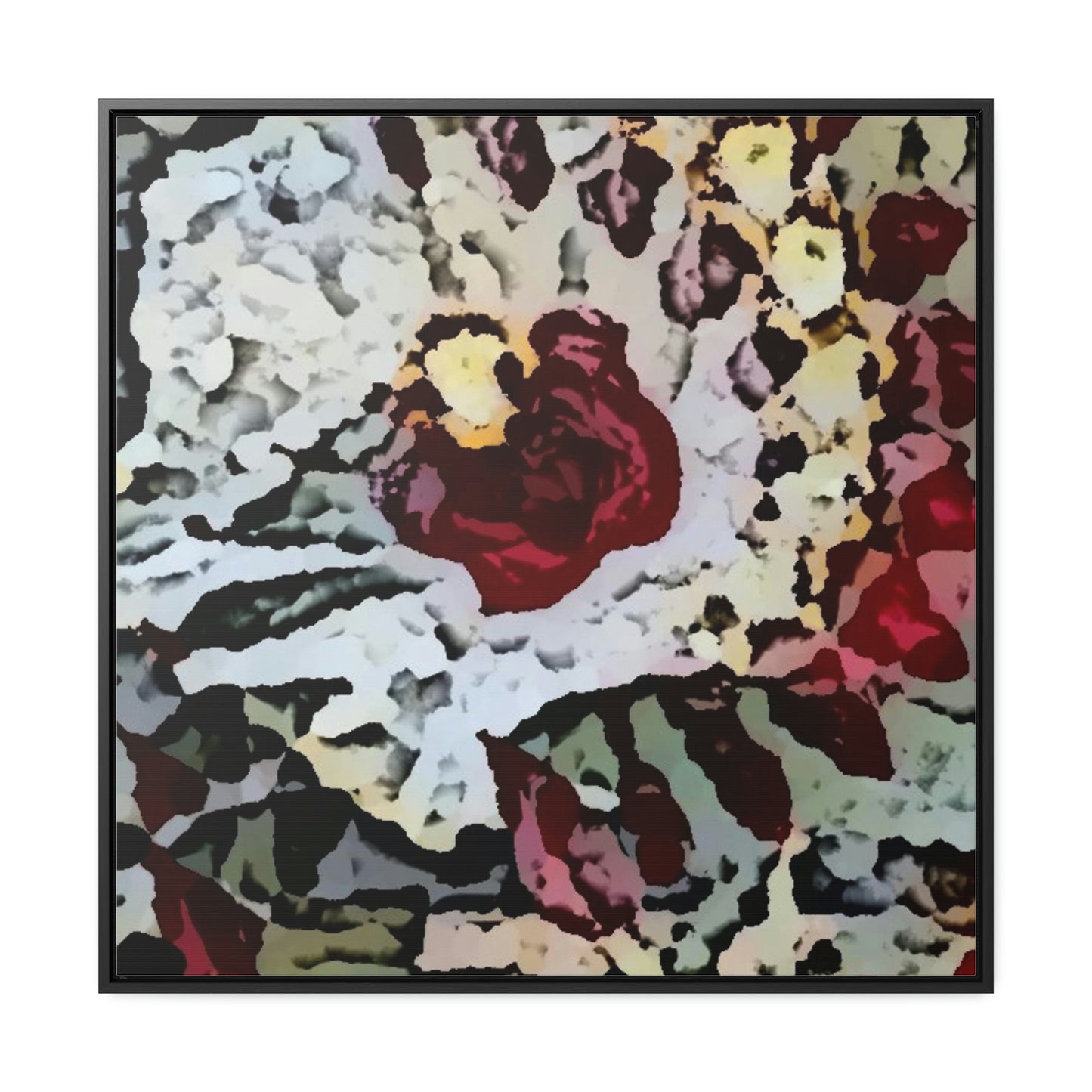 Gallery Canvas Wraps, Square Frame ... "A Friendly Flower" ... Pointsettia 'Pointing' ... Original Works ... (Supplied Photograph) ...