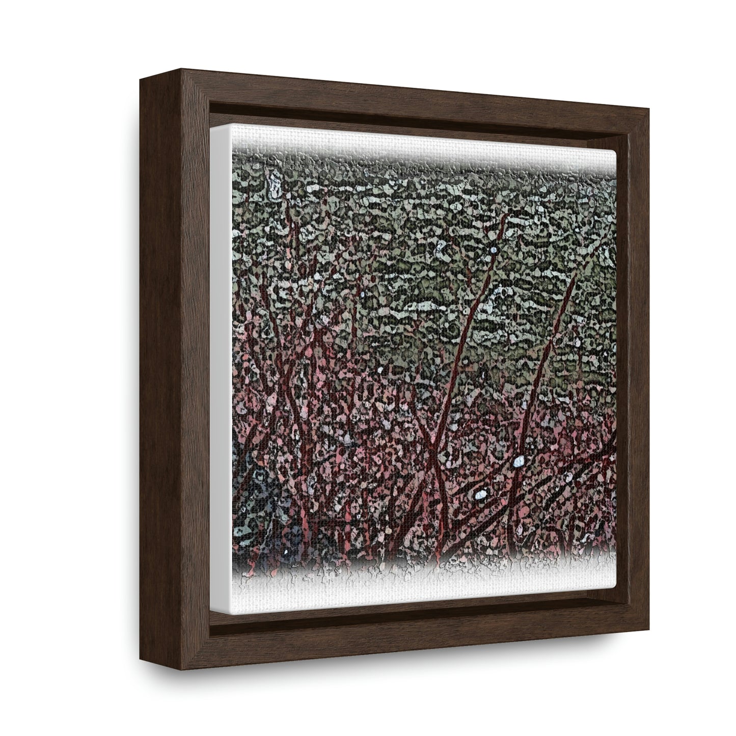Gallery Canvas Wraps, Square Frame ... "A River Runs Through It" ... Red-Osier-Dogwood (Cornus Stonlifera 'Rubra') .. Original Works ... Central Idaho ...