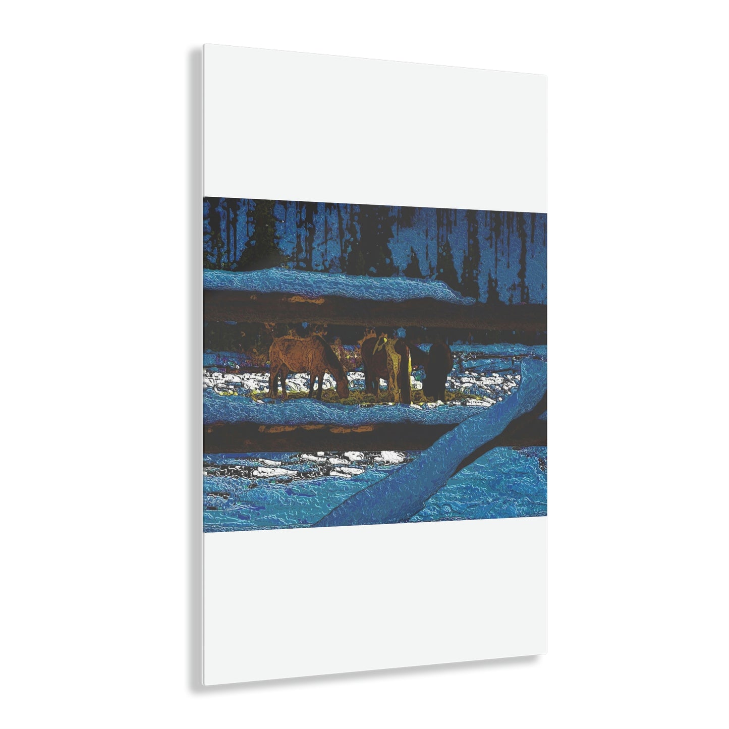Acrylic Prints ... A Horse ... A Saddle ...  Foraging Through The Snow ...  An_Asses 'Cry' ... Central Idaho, November 2022 ...  Original Works ...