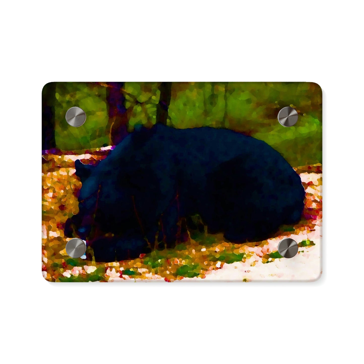 Acrylic Wall Art Panels ... RCY: "Rhett Creek Yogi ... '500 Lbs Of Autumn Season Hunger' ..."  ... September 2022 ... Central Idaho ... Original Works ...